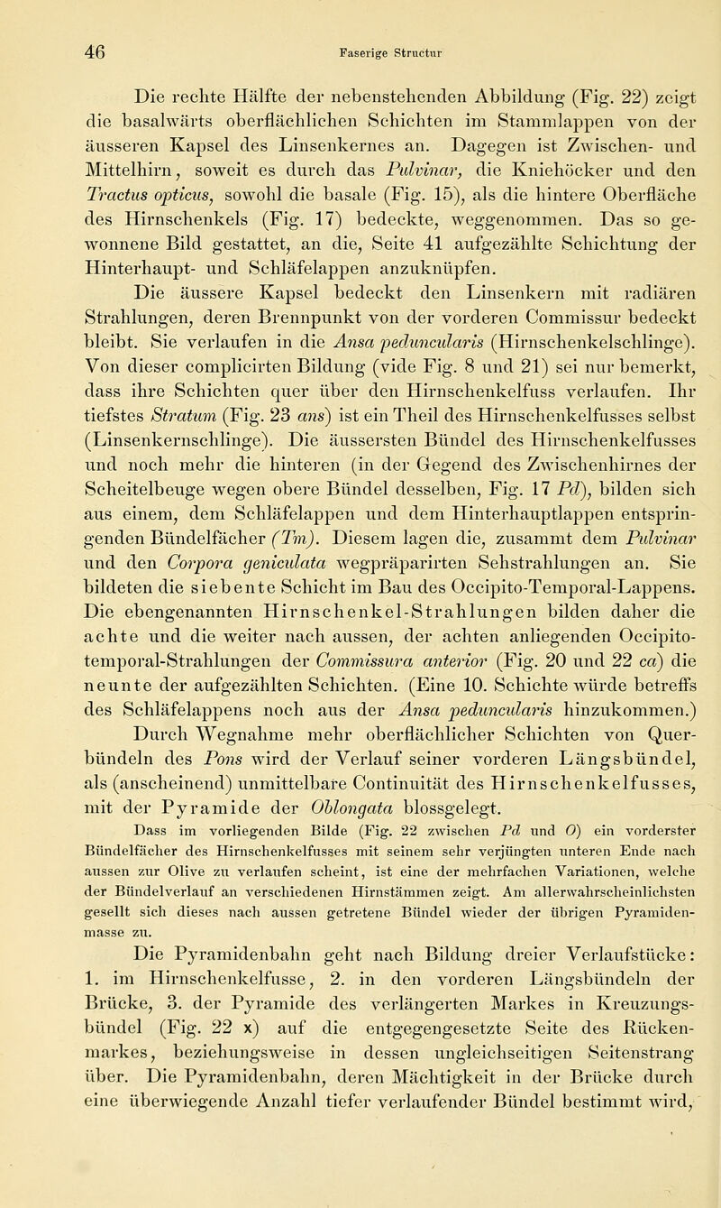 Die rechte Hälfte der nebenstehenden Abbildung (Fig. 22) zeigt die basalwärts oberflächlichen Schichten im Stamnilappen von der äusseren Kapsel des Linsenkei-nes an. Dagegen ist Zwischen- und Mittelhirn, soweit es durch das Pidvinar, die Kniehöcker und den Tractus opticus, sowohl die basale (Fig. 15), als die hintere Oberfläche des Hirnschenkels (Fig. 17) bedeckte, weggenommen. Das so ge- wonnene Bild gestattet, an die, Seite 41 aufgezählte Schichtung der Hinterhaupt- und Schläfelappen anzuknüpfen. Die äussere Kapsel bedeckt den Linsenkern mit radiären Strahlungen, deren Brennpunkt von der vorderen Commissur bedeckt bleibt. Sie verlaufen in die Änsa peduncularis (Hirnschenkelschlinge). Von dieser complicirten Bildung (vide Fig. 8 und 21) sei nur bemerkt, dass ihre Schichten quer über den Hirnschenkelfuss verlaufen. Ihr tiefstes Stratum (Fig. 23 ans) ist ein Theil des Hirnschenkelfusses selbst (Linsenkernschlinge). Die äussersten Bündel des Hirnschenkelfusses und noch mehr die hinteren (in der Gegend des Zwischenhirnes der Scheitelbeuge wegen obere Bündel desselben, Fig. 17 Pd), bilden sich aus einem, dem Schläfelappen und dem Hinterhauptlappen entsprin- genden Bündelfächer (Tm). Diesem lagen die, zusammt dem Pulvinar und den Corpora geniculata wegpräparirten Sehstrahlungen an. Sie bildeten die siebente Schicht im Bau des Occipito-Temporal-Lappens. Die ebengenannten Hirnschenkel-Strahlungen bilden daher die achte und die weiter nach aussen, der achten anliegenden Occipito- temporal-Strahlungen der Commissura anterior (Fig. 20 und 22 ca) die neunte der aufgezählten Schichten. (Eine 10. Schichte würde betreffs des Schläfelappens noch aus der Änsa peduncularis hinzukommen.) Durch Wegnahme mehr oberflächlicher Schichten von Quer- bündeln des Pons wird der Verlauf seiner vorderen Längsbündel, als (anscheinend) unmittelbare Continuität des Hirnschenkelfusses, mit der Pyramide der Ohlongata blossgelegt. Dass im vorliegenden Bilde (Fig. 22 zwischen Pd und 0) ein vorderster Bündelfächer des Hirnschenkelfusses mit seinem sehr verjüngten unteren Ende nach aussen zur Olive zu verlaufen scheint, ist eine der mehrfachen Variationen, welche der Bündelverlauf an verschiedenen Hirnstämmen zeigt. Am allerwahrscheinlichsten gesellt sich dieses nach aussen getretene Bündel wieder der übrigen Pyramiden- masse zu. Die Pyramidenbahn geht nach Bildung dreier Verlaufstücke: 1. im Hirnschenkelfusse, 2. in den vorderen Längsbündeln der Brücke, 3. der Pyramide des verlängerten Markes in Kreuzungs- bündel (Fig. 22 x) auf die entgegengesetzte Seite des Rücken- markes, beziehungsweise in dessen ungleichseitigen Seitenstrang über. Die Pyramidenbahn, deren Mächtigkeit in der Brücke durch eine überwiegende Anzahl tiefer verlaufender Bündel bestimmt wird,