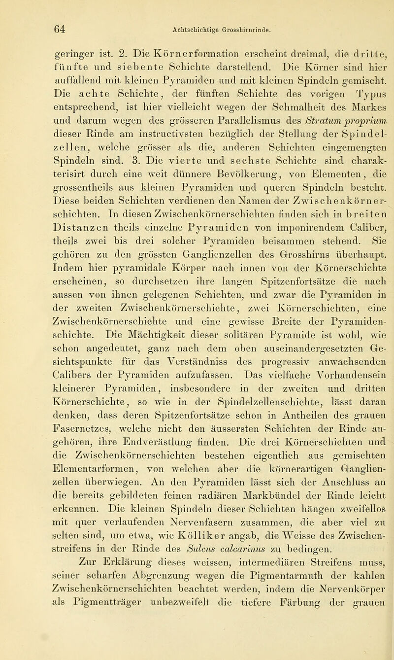 geringer ist. 2. Die Körn er form ation ersclieint dreimal, die dritte, fünfte und siebente Scliiclite darstellend. Die Körner sind liier auffallend mit kleinen Pyramiden und mit kleinen Spindeln gemischt. Die achte Schichte, der fünften Schichte des vorigen Typus entsprechend, ist hier vielleicht wegen der Schmalheit des Markes und darum wegen des grösseren Parallelismus des Stratum proprium. dieser Rinde am instructivsten bezüglich der Stellung der Spindel- zellen, welche grösser als die, anderen Schichten eingemengten Spindeln sind. 3. Die vierte und sechste Schichte sind charak- terisirt durch eine weit dünnere Bevölkerung, von Elementen, die grossentheils aus kleinen Pyramiden und queren Spindeln besteht. Diese beiden Schichten verdienen den Namen der Zwischenkörner- schichten. In diesen Zwischenkörnerschichten linden sich in breiten Distanzen theils einzelne Pyramiden von imponirendem Caliber, theils zwei bis drei solcher Pyramiden beisammen stehend. Sie gehören zu den grössten Ganglienzellen des Grosshirns überhaupt. Indem hier pyramidale Körper nach innen von der Köi'nerschichte erscheinen, so durchsetzen ihre langen Spitzenfortsätze die nach aussen von ihnen gelegenen Schichten, und zwar die Pyramiden in der zweiten Zwischenkörnerschichte, zwei Körnerschichten, eine Zwischenkörnerschichte und eine gewisse Breite der Pyramiden- schichte. Die Mächtigkeit dieser solitären Pyramide ist wohl, wie schon angedeutet, ganz nach dem oben auseinandergesetzten Ge- sichtspunkte für das Verständniss des progressiv anwachsenden Calibers der Pyramiden aufzufassen. Das vielfache Vorhandensein kleinerer Pyramiden, insbesondere in der zweiten und dritten Körnerschichte, so wie in der Spindelzellenschichte, lässt daran denken, dass deren Spitzenfortsätze schon in Antheilen des grauen Fasernetzes, welche nicht den äussersten Schichten der Rinde an- gehören, ihre Endverästlung finden. Die drei Körnerschichten und die Zwischenkörnerschichten bestehen eigentlich aus gemischten Elementarformen, von welchen aber die körnerartigen Ganglien- zellen überwiegen. An den Pyramiden lässt sich der Anschluss an die bereits gebildeten feinen radiären Markbündel der Rinde leicht erkennen. Die kleinen Spindeln dieser Schichten hängen zweifellos mit quer verlaufenden Nervenfasern zusammen, die aber viel zu selten sind, um etwa, wie Kölliker angab, die Weisse des Zwischen- streifens in der Rinde des Sulcus calcarinus zu bediiiffen. Zur Erklärung dieses weissen, intermediären Streifens muss, seiner scharfen Abgrenzung wegen die Pigmentarmuth der kahlen Zwischenkörnerschichten beachtet werden, indem die Nervenkörper als Pigmentträger unbezweifelt die tiefere Färbung der grauen