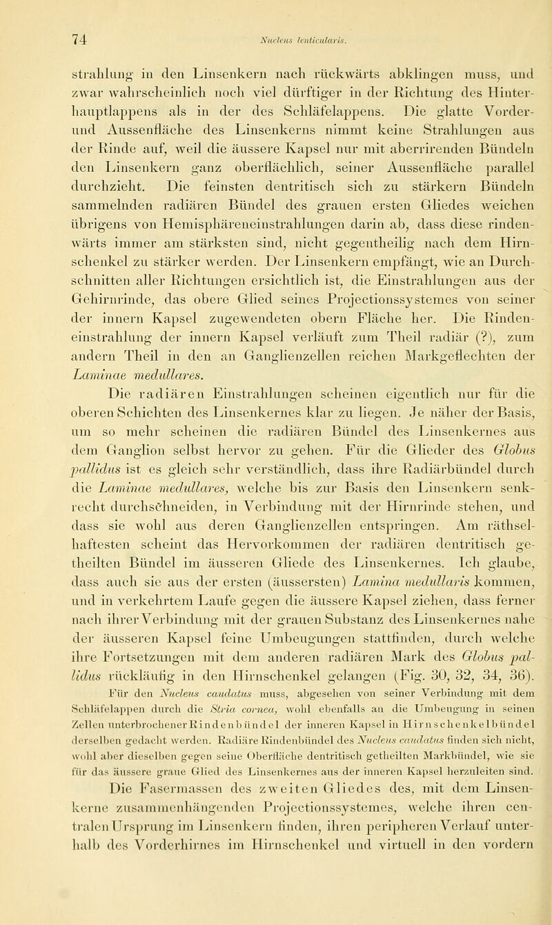 Strahlung in den Linsenkeru nach rückwärts abklingen muss, und zwar wahrscheinlich noch viel dürftiger in der Richtung des Hinter- hauptlappens als in der des Schläfelappens. Die glatte Vorder- und Aussenfläche des Linsenkerns nimmt keine Strahlungen aus der Rinde auf, weil die äussere Kapsel nur mit aberrirenden Bündeln den Linsenkern ganz oberflächlich, seiner Aussenfläche parallel durchzieht. Die feinsten dentritisch sich zu stärkern Bündeln sammelnden radiären Bündel des grauen ersten Gliedes weichen übrigens von Hemisphäreneinstrahlungen darin ab, dass diese rinden- wärts immer am stärksten sind, nicht gegentheilig nach dem Hirn- schenkel zu stärker werden. Der Linsenkern empfängt, wie an Durch- schnitten aller Richtungen ersichtlich ist, die Einstrahlungen aus der Gehirnrinde, das obere Glied seines Projectionssystemes von seiner der Innern Kapsel zugewendeten obern Fläche her. Die Rinden- einstrahlung der innern Kapsel verläuft zum Theil radiär (?), zum andern Theil in den an Ganglienzellen reichen Markgeflechten der Laminae medulläres. Die radiären Einstrahlungen scheinen eigentlich nur für die oberen Schichten des Linsenkernes klar zu liegen. Je näher der Basis, um so mehr scheinen die radiären Bündel des Linsenkernes aus dem Ganglion selbst hervor zu gehen. Für die Glieder des Globus pallidus ist es gleich sehr verständlich, dass ihre Radiärbündel durch die Laminae medulläres, welche bis zur Basis den Linsenkern senk- recht durchschneiden, in Verbindung mit der Hirnrinde stehen, und dass sie wohl aus deren Ganglienzellen entspringen. Am räthsel- haftesten scheint das Hervorkommen der radiären dentritisch ge- theilten Bündel im äusseren Gliede des Linsenkernes. Ich glaube, dass auch sie aus der ersten (äussersten) Laviina medullaris kommen, und in verkehrtem Laufe gegen die äussere Kapsel ziehen, dass ferner nach ihrer Verbindung mit der grauen Substanz des Liusenkernes nahe der äusseren Kapsel feine Umbeugungen stattfinden, durch welche ihre Fortsetzungen mit dem anderen radiären Mark des Globus pal- lidus rückläufig in den Hirnschenkel gelangen (Fig. 30, 32, 34, 36). Für den Nucleus caudatus mitss, abgesehen von seiner Verbindung' mit dem Schläfelappen durch die Stria Cornea, wohl ebenfalls an die TJmbeugnng in seinen Zellen unterbrochenerßindenbündel der inneren Kapsel in Hirnschenkelbündel derselben gedacht werden. Radiäre Rindenbündel des Nucleus caitdatus finden sich nicht, wohl aber dieselben gegen seine Oberfläche dentritisch getheilten Markbüiidel, wie sie für das äussere graue Glied des Linsenkernes aus der inneren Kapsel herzuleiten sind. Die Fasermassen des zweiten Gliedes des, mit dem Linsen- kerne zusammenhängenden Projectionssystemes, welche ihren cen- ti'alen Ursprung im Ijinscnkern finden, ihren peripheren Verlauf unter- halb des Vorderhirnes im Hirnschenkel und virtuell in den vordem