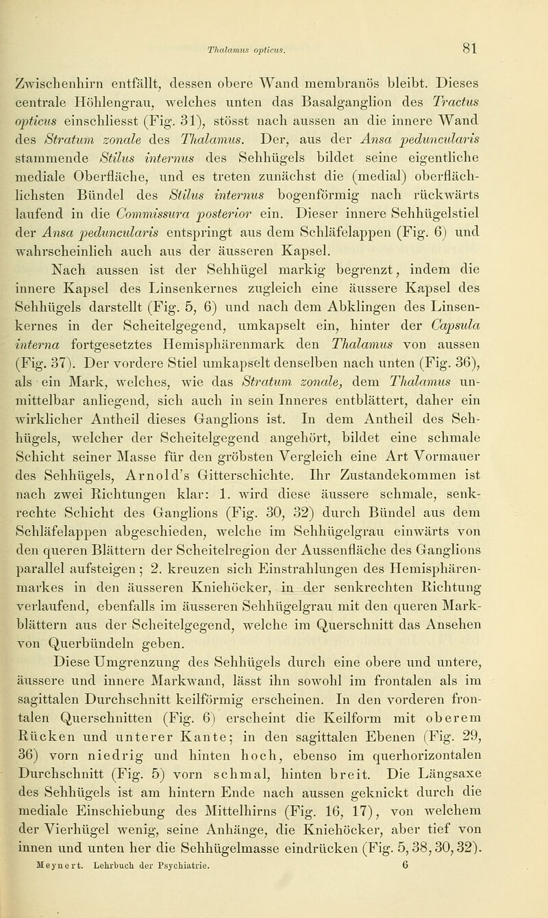 Thalamiis opticus. öl Zwischenhirn entfällt, dessen obere Wand membranös bleibt. Dieses centrale Höhlengrau, welches unten das Basalganglion des Tractus opticus einschliesst (Fig. 31), stösst nach aussen an die innere Wand des Stratum zonale des TJialamus. Der, aus der Änsa peduncularis stammende Stilus internus des Sehhügels bildet seine eigentliche mediale Oberfläche, und es treten zunächst die (medial) oberfläch- lichsten Bündel des Stilus inteo-nus bogenförmig nach rückwärts laufend in die Commissura posterior ein. Dieser innere Sehhügelstiel der Änsa peduncularis entspringt aus dem Schläfelappen (Fig. 6) und wahrscheinlich auch aus der äusseren Kapsel. Nach aussen ist der Sehhügel markig begrenzt, indem die innere Kapsel des Linsenkernes zugleich eine äussere Kapsel des Sehhügels darstellt (Fig. 5, 6) und nach dem Abklingen des Linsen- kernes in der Scheitelgegend, umkapselt ein, hinter der Capsula interna fortgesetztes Hemisphärenmark den Thalamus von aussen (Fig. 37). Der vordere Stiel umkapselt denselben nach unten (Fig. 36), als ein Mark, welches, wie das Stratum zonale, dem Thalamus un- mittelbar anliegend, sich auch in sein Inneres entblättert, daher ein wirklicher Antheil dieses Granglions ist. In dem Antheil des Seh- hügels, welcher der Scheitelgegend angehört, bildet eine schmale Schicht seiner Masse für den gröbsten Vergleich eine Art Vormauer des Sehhügels, Arnold's Gitterschichte. Ihr Zustandekommen ist nach zwei Richtungen klar: 1. wird diese äussere schmale, senk- rechte Schicht des Ganglions (Fig. 30, 32) durch Bündel aus dem Schläfelappen abgeschieden, welche im Sehhügelgrau einwärts von den queren Blättern der Scheitelregion der Aussenfläche des Ganglions parallel aufsteigen ; 2. kreuzen sich Einstrahlungen des Hemisphären- markes in den äusseren Kniehöcker, in der senkrechten Richtung verlaufend, ebenfalls im äusseren Sehhügelgrau mit den queren Mark- blättern aus der Scheitelgegend, welche im Querschnitt das Ansehen von Querbündeln geben. Diese Umgrenzung des Sehhügels durch eine obere und untere, äussere und innere Markwand, lässt ihn sowohl im frontalen als im sagittalen Durchschnitt keilförmig erscheinen. In den vorderen fron- talen Querschnitten (Fig. 6) erscheint die Keilform mit oberem Rücken und unterer Kante; in den sagittalen Ebenen (Fig. 29, 36) vorn niedrig und hinten hoch, ebenso im querhorizontalen Durchschnitt (Fig. 5) vorn schmal, hinten breit. Die Längsaxe des Sehhügels ist am hintern Ende nach aussen geknickt durch die mediale Einschiebung des Mittelhirns (Fig. 16, 17), von welchem der Vierhügel wenig, seine Anhänge, die Kniehöcker, aber tief von innen und unten her die Sehhügelmasse eindrücken (Fig. 5,38,30,32). Meynert. Lehrtuoli der Psychiatrie. 6