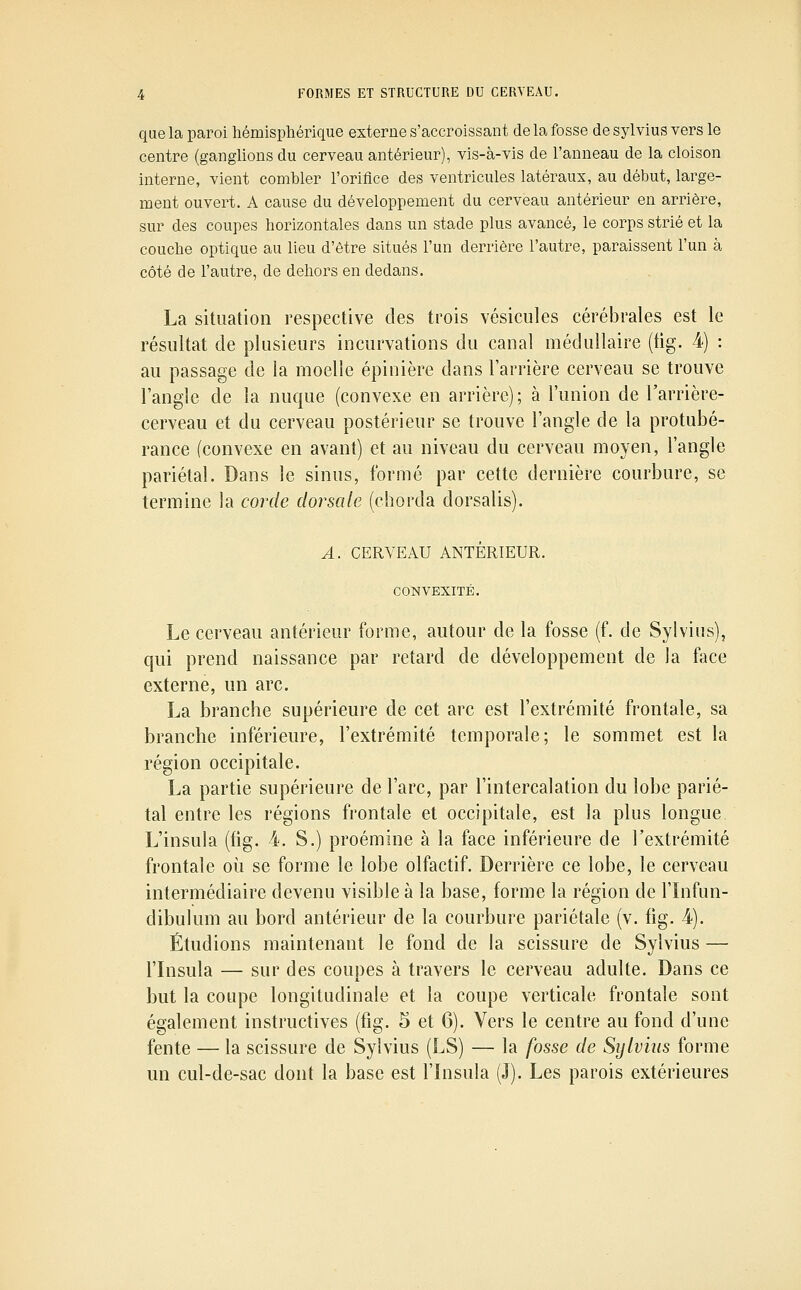 que la paroi liémispliérique externe s'accroissant de la fosse de sylvius vers le centre (ganglions du cerveau antérieur), vis-à-vis de l'anneau de la cloison interne, vient combler l'oriflce des ventricules latéraux, au début, large- ment ouvert. A cause du développement du cerveau antérieur en arrière, sur des coupes horizontales dans un stade plus avancé, le corps strié et la couche optique au lieu d'être situés l'un derrière l'autre, paraissent l'un à côté de l'autre, de dehors en dedans. La situation respective des trois vésicules cérébrales est le résultat de plusieurs incurvations du canal médullaire (fig. 4) : au passage de la moelle épinière dans l'arrière cerveau se trouve l'angle de la nuque (convexe en arrière); à l'union de l'arrière- cerveau et du cerveau postérieur se trouve l'angle de la protubé- rance (convexe en avant) et au niveau du cerveau moyen, l'angle pariétal. Dans le sinus, formé par cette dernière courbure, se termine la corde dorsale (chorda dorsalis). A. CERVEAU ANTÉRIEUR. CONVEXITÉ. Le cerveau antérieur forme, autour de la fosse (f. de Sylvius), qui prend naissance par retard de développement de la face externe, un arc. La branche supérieure de cet arc est l'extrémité frontale, sa branche inférieure, l'extrémité temporale; le sommet est la région occipitale. La partie supérieure de l'arc, par l'intercalation du lobe parié- tal entre les régions frontale et occipitale, est la plus longue L'insula (fig. 4. S.) proémine à la face inférieure de l'extrémité frontale où se forme le lobe olfactif. Derrière ce lobe, le cerveau intermédiaire devenu visible à la base, forme la région de l'Infun- dibulum au bord antérieur de la courbure pariétale (v. fig. 4). Étudions maintenant le fond de la scissure de Sylvius — l'insula — sur des coupes à travers le cerveau adulte. Dans ce but la coupe longitudinale et la coupe verticale frontale sont également instructives (fig. 5 et 6). Vers le centre au fond d'une fente — la scissure de Sylvius (LS) — la fosse de Sylvius forme un cul-de-sac dont la base est l'insula (J). Les parois extérieures