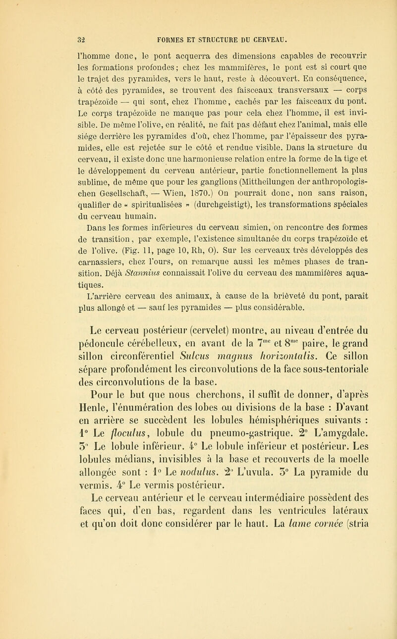 l'homme donc, le pont acquerra des dimensions capables de recouvrir les formations profondes ; chez les mammifères, le pont est si court que le trajet des pyramides, vers le haut, reste à découvert. Eu conséquence, à côté des pyramides, se trouvent des faisceaux transversaux — corps trapézoïde — qui sont, chez l'homme, cachés par les faisceaux du pont. Le corps trapézoïde ne manque pas pour cela chez l'homme, il est invi- sible. De même l'olive, en réalité, ne fait pas défaut chez l'animal, mais elle siège derrière les pyramides d'où, chez l'homme, par l'épaisseur des pyra- mides, elle est rejetée sur le côté et rendue visible. Dans la structure du cerveau, il existe donc une harmonieuse relation entre la forme de la tige et le développement du cerveau antérieur, partie fonctionnellemeut la plus sublime, de même que pour les ganglions (Mittheilungen der anthropologis- chen Gesellschaft, — Wien, 1870.) On pourrait donc, non sans raison, qualifier de « spiritualisées « (durchgeistigt), les transformations spéciales du cerveau humain. Dans les formes inférieures du cerveau simien, on rencontre des formes de transition, par exemple, l'existence simultanée du corps trapézoïde et de l'olive. (Fig. 11, page 10, Rh, 0). Sur les cerveaux très développés des carnassiers, chez l'ours, on remarque aussi les mêmes phases de tran- sition. Déjà Stannius connaissait l'olive du cerveau des mammifères aqua- tiques. L'arrière cerveau des animaux, à cause de la brièveté du pont, paraît plus allongé et — sauf les pyramides — plus considérable. Le cerveau postérieur (cervelet) montre, au niveau d'entrée du pédoncule cérébelleux, en avant de la 7^ et 8' paire, le grand sillon circonférentiel Sulcus magnus Iwrizontalis. Ce sillon sépare profondément les circonvolutions de la face sous-tentoriale des circonvolutions de la base. Pour le but que nous cherchons, il suffit de donner, d'après Henle, l'énumération des lobes au divisions de la base : D'avant en arrière se succèdent les lobules hémisphériques suivants ; l'' Le flocidiis, lobule du pneumo-gastrique. 2° L'amygdale. 5 Le lobule inférieur. 4° Le lobule inférieur et postérieur. Les lobules médians, invisibles à la base et recouverts de la moelle allongée sont : 1° Le nodulus. 2' L'uvula. 5° La pyramide du vermis. 4° Le vermis postérieur. Le cerveau antérieur et le cerveau intermédiaire possèdent des faces qui, d'en bas, regardent dans les ventricules latéraux et qu'on doit donc considérer par le haut. La lame cornée (stria