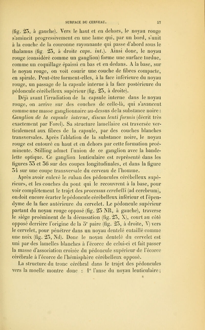 (fig. 25, à gauche). Vers le haut et en dehors, le noyau rouge s'amincit progressivement en une lame qui, par un bord, s'unit à la couche de la couronne rayonnante qui passe d'abord sous le thalamus (fig 25, à droite caps. int.). Ainsi donc, le noyau rouge (considéré comme un ganglion) forme une surface tordue, comme un coquillage épaissi en bas et en dedans. A la base, sur le noyau rouge, on voit courir une couche de fibres compacte, en spirale. Peut-être forment-elles, à la face inférieure du noyau rouge, un passage de la capsule interne à la face postérieure du pédoncule cérébelleux supérieur (fig. 25, à droite). Déjà avant l'irradiation de la capsule interne dans le noyau rouge, on arrive sur des couches de celle-là, qui s'avancent comme une masse ganglionnaire au-dessus delà substance noire : Ganglion de la capsule interne, discus lenti formis (décrit très exactement par Forel). Sa structure lamellaire est traversée ver- ticalement aux fibres de la capsule, par des couches blanches transversales. Après l'ablation de la substance noire, le noyau rouge est entouré en haut et en dehors par cette formation proé- minente. Stilling admet l'union de ce ganglion avec la bande- lette optique. Ce ganglion lenticulaire est représenté dans les figures 55 et 56 sur des coupes longitudinales, et dans la figure 54 sur une coupe transversale du cerveau de l'homme. Après avoir enlevé le ruban des pédoncules cérébelleux supé- rieurs, et les couches du pont qui le recouvrent à la base, pour voir complètement le trajet des processus cerebelli (ad cerebrum), on doit encore écarter le pédoncule cérébelleux inférieur et l'épen- dyme de la face antérieure du cervelet. Le pédoncule supérieur partant du noyau rouge opposé (fig. 25 NR, à gauche), traverse le siège proéminent de la décussation (fig. 25, X), court au côté opposé derrière l'origine de la 5 paire (fig. 25, à droite, V) vers le cervelet, pour pénétrer dans un noyau dentelé entaillé comme une noix (fig. 25, Nd). Donc le noyau dentelé du cervelet est uni par des lamelles blanches à fécorce de celui-ci et fait passer la masse d'association croisée du pédoncule supérieur de fécorce cérébrale à fécorce de fhémisphère cérébelleux opposé. La structure du tronc cérébral dans le trajet des pédoncules vers la moelle montre donc : 1° fanse du noyau lenticulaire; 8