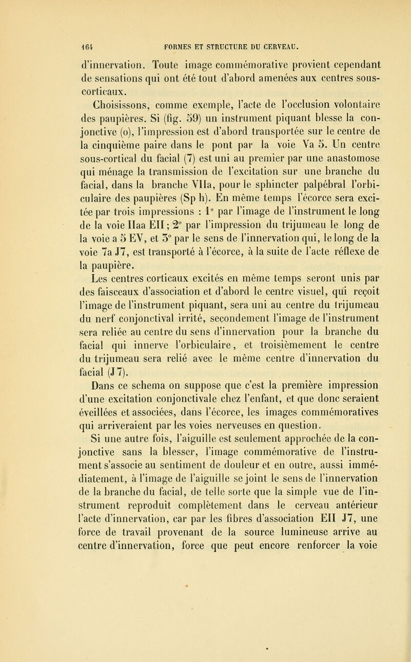 d'innervation. Toute image conimémorative provient cependant de sensations qui ont été tout d'abord amenées aux centres sous- corticaux. Choisissons, comme exemple, l'acte de l'occlusion volontaire des paupières. Si (fig. 59) un instrument piquant blesse la con- jonctive (o), l'impression est d'abord transportée sur le centre de la cinquième paire dans le pont par la voie Va 5. Un centre sous-cortical du facial (7) est uni au premier par une anastomose qui ménage la transmission de l'excitation sur une branche du facial, dans la branche Vlîa, pour le sphincter palpébral l'orbi- culaire des paupières (Sp h). En même temps Técorce sera exci- tée par trois impressions : 1° par l'image de l'instrument le long de la voie ïlaa EU ; 2° par l'impression du trijumeau le long de la voie a 5 EV, et 5° par le sens de l'innervation qui, le long de la voie 7a il, est transporté à l'écorce, à la suite de l'acte réflexe de la paupière. Les centres corticaux excités en même temps seront unis par des faisceaux d'association et d'abord le centre visuel, qui reçoit l'image de l'instrument piquant, sera uni au centre du trijumeau du nerf conjonctival irrité, secondement l'image de l'instrument sera reliée au centre du sens d'innervation pour la branche du facial qui innerve l'orbiculaire, et troisièmement le centre du trijumeau sera relié avec le même centre d'innervation du facial (J7). Dans ce schéma on suppose que c'est la première impression d'une excitation conjonctivale chez l'enfant, et que donc seraient éveillées et associées, dans l'écorce, les images commémoratives qui arriveraient par les voies nerveuses en question. Si une autre fois, l'aiguille est seulement approchée de la con- jonctive sans la blesser, l'image commémorative de l'instru- ment s'associe au sentiment de douleur et en outre, aussi immé- diatement, à l'image de l'aiguille se joint le sens de l'innervation de la branche du facial, de telle sorte que la simple vue de l'in- strument reproduit complètement dans le cerveau antérieur l'acte d'innervation, car par les fibres d'association EII J7, une force de travail provenant de la source lumineuse arrive au centre d'innervation, force que peut encore renforcer la voie