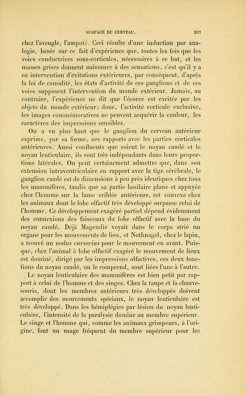 chez l'aveugle, rampiitù. Ceci résulte d'une induction par ana- logie, basée sur ce fait d'expérience que, toutes les fois que les voies conductrices sous-corticales, nécessaires à ce but, et les masses grises donnent naissance à des sensations, c'est qu'il y a eu intervention d'exitations extérieures, par conséquent, d'après la loi de causalité, les états d'activité de ces ganglions et de ces voies supposent l'intervention du monde extérieur. Jamais, au contraire, l'expérience ne dit que l'écorce est excitée par les objets du monde extérieur; donc, l'activité corticale exclusive, les images commémoratives ne peuvent acquérir la couleur, les caractères des impressions sensibles. On a vu plus haut que le ganglion du cerveau antérieur exprime, par sa forme, ses rapports avec les parties corticales antérieures. Aussi confluents que soient le noyau caudé et le noyau lenticulaire, ils sont très indépendants dans leurs propor- tions latérales. On peut certainement admettre que, dans son extension intraventriculaire en rapport avec la tige cérébrale, le ganglion caudé est de dimensions à peu près identiques chez tous les mammifères, tandis que sa partie basilaire plane et appuyée chez l'homme sur la lame criblée antérieure, est convexe chez les animaux dont le lobe olfactif très développé surpasse celui de l'homme. Ce développement exagéré partiel dépend évidemment des connexions des faisceaux du lobe olfactif avec la base du noyau caudé. Déjà Magendie voyait dans le corps strié un organe pour les mouvements de lieu, et Nothnagel, chez le lapin, a trouvé un nodus cursorius pour le mouvement en avant. Puis- que, chez l'animal à lobe olfactif exagéré le mouvement de lieux est dominé, dirigé par les impressions olfactives, ces deux fonc- tions du noyau caudé, on le comprend, sont liées l'une à l'autre. Le noyau lenticulaire des mammifères est bien petit par rap- port à celui de l'homme et des singes. Chez la taupe et la chauve- souris, dont les membres antérieurs très développés doivent accomplir des mouvements spéciaux, le noyau lenticulaire est très développé. Dans les hémiplégies par lésion du noyau lenti- culaire, l'intensité de la paralysie domine au membre supérieur. Le singe et l'homme qui, comme les animaux grimpeurs, à l'ori- gine, font un usage fréquent du membre supérieur pour les