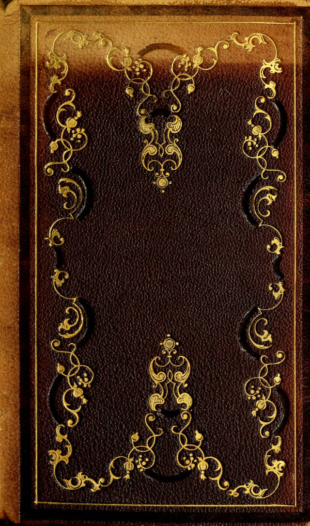 No text description is available for this image