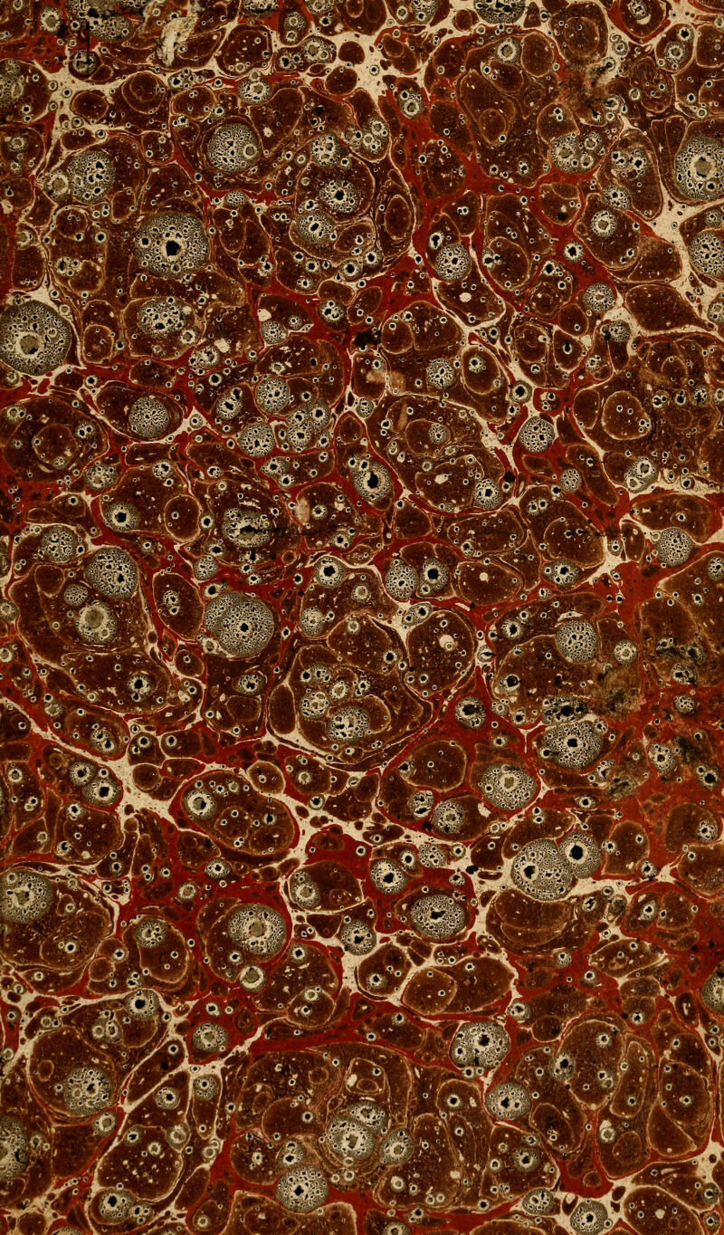 '/ivv*?^ J'- ..1 ■ /6--^ '...^r '■ Wi ^-W'^ *(^^ ,;^' ^5^-'.i>^ .^^^/T'^^;^^^ #\r\q^^'-# .. »a, ^mf ---%. -^--^ i-?.^:^^^^ .^'r,.^va54^ ¥, .^^^.::v^^*f■„%r?'t-4 .; p' ^ , • '»^/V^'*;r ■ • -(O,* ( ■ ^-'ùSê^i .,j,^^,r. Ao-<.^.£¥t£:i ,/A.''. '>' .'^-/Qi'^-^mUm à K' 'b ■..■•■ ^^..éf^I^