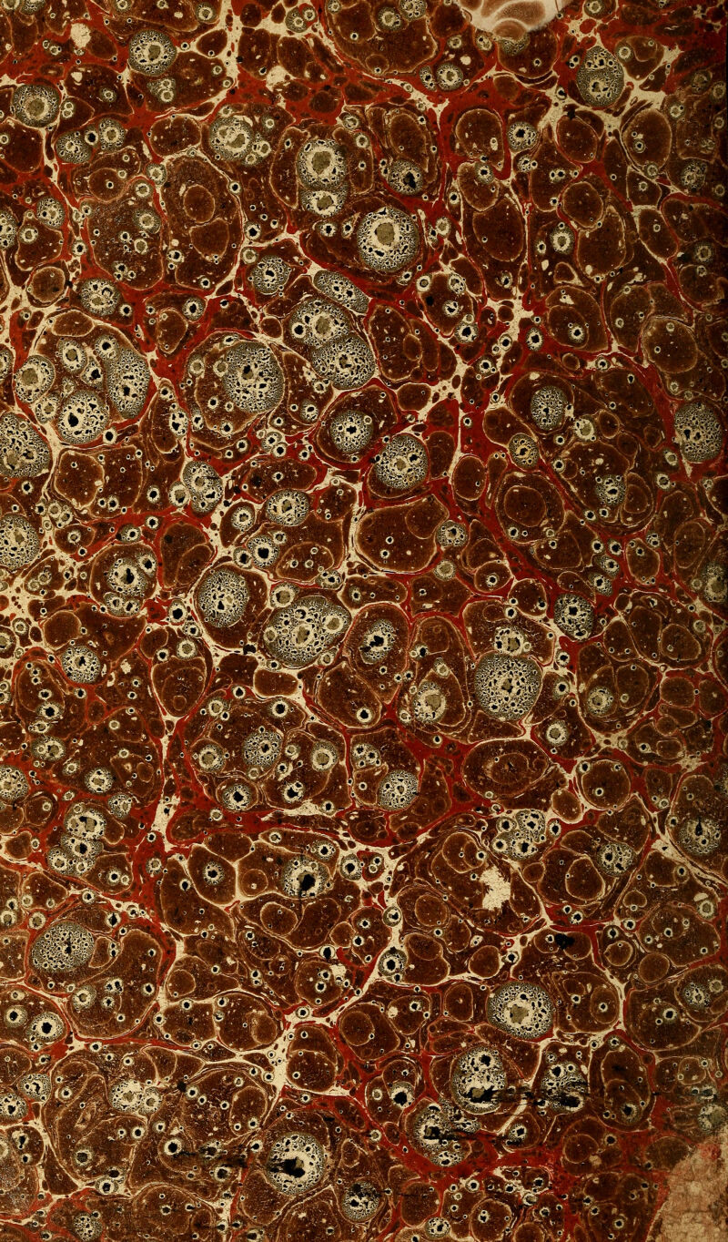 «s. oX- ^-^ s msù,^-%, ^^Â'm mAr-r^^^fK'. ^^.v;:/;».-^^:-  J^*^- ^^^ .,^^K- /^- ^^^'iff-■ |'^#<i'^ W^^-^ ^mM o -_-m'-\%^ ^^M %ùm, ,^la ^^'ir' o^ aifF ^.Qp|:-._^:y' ■, '^^A;■^■cL5:b^^ '■^^ ' *Wi'. ' r,-^^ ■ '' >*^ -^^ ■\?Wo ■ ^^à^ ■>^~ ■i3'>i2 , 'C»J ■'. Q m y ^,—*^ -■>> o ' \\ f ^^^, ^WS] • ^aB -3 ^ - ^_^^^^^^^^. ■ -y ÙJ-^'y^ Ôl- i'' ^'.-'^■'f''°M«J m_. Ç# ^ a^'^^O- :•,. Bgi^iaSWP>.i '-^ : .t§ ^JC ^^.-:^-^: hB^»^'^^'.'* ^° ^'^. i —^ v,0?. gmet'.. ^;^^J2-;