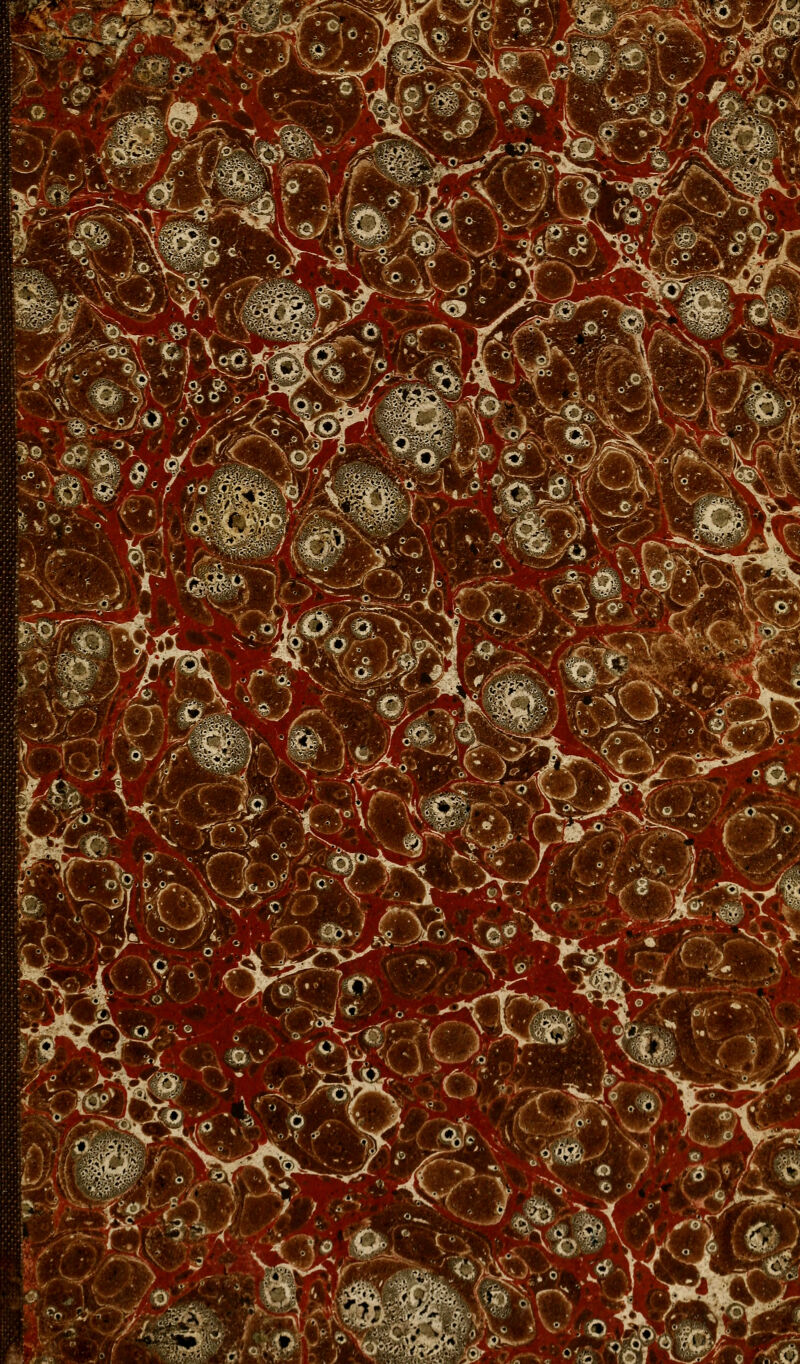 ■^■:ê':,m l#^-V:'4 ^ , .^^,:>j^ X-c^^ .,^^o__o;>^:;^^ ^Sm£>v >r^<^ ï ^'■-' !â^ ^/'î if^r 6'? K rirl.