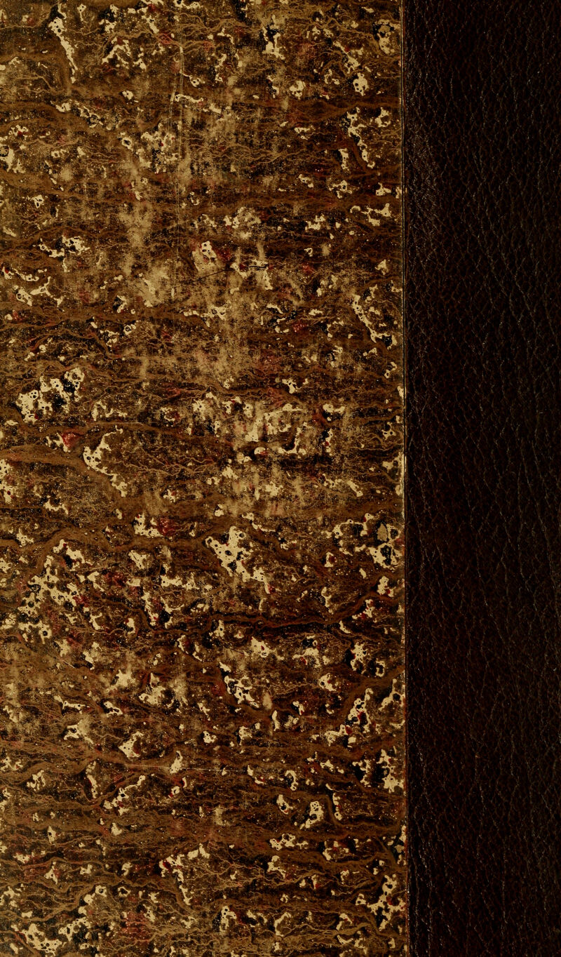 .^^■'.:^>fe^ .^.è. ^j^*^ y>v\*#« r ' ^i' K i ^. i ■ TA ■.^m.^' ^:';*.;v. .|*:'^>-y«>:J. r