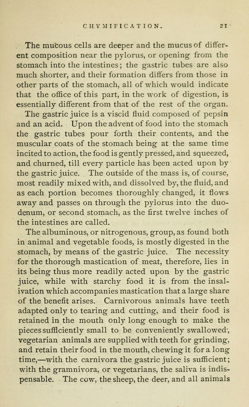 The mucous cells are deeper and the mucus of differ- ent composition near the pylorus, or opening from the stomach into the intestines; the gastric tubes are also much shorter, and their formation differs from those in other parts of the stomach, all of which would indicate that the office of this part, in the work of digestion, is essentially different from that of the rest of the organ. The gastric juice is a viscid fluid composed of pepsin and an acid. Upon the advent of food into the stomach the gastric tubes pour forth their contents, and the muscular coats of the stomach being at the same time incited to action, the food is gently pressed, and squeezed, and churned, till every particle has been acted upon by the gastric juice. The outside of the mass is, of course, most readily mixed with, and dissolved by, the fluid, and as each portion becomes thoroughly changed, it flows away and passes on through the pylorus into the duo- denum, or second stomach, as the first twelve inches of the intestines are called. The albuminous, or nitrogenous, group, as found both in animal and vegetable foods, is mostly digested in the stomach, by means of the gastric juice. The necessity for the thorough mastication of meat, therefore, lies in its being thus more readily acted upon by the gastric juice, while with starchy food it is from the insal- ivation which accompanies mastication that a large share of the benefit arises. Carnivorous animals have teeth adapted only to tearing and cutting, and their food is retained in the mouth only long enough to make the pieces sufficiently small to be conveniently swallowed-, vegetarian animals are supplied with teeth for grinding, and retain their food in the mouth, chewing it for a long time,—with the carnivora the gastric juice is sufficient; with the gramnivora, or vegetarians, the saliva is indis- pensable. The cow, the sheep, the deer, and all animals