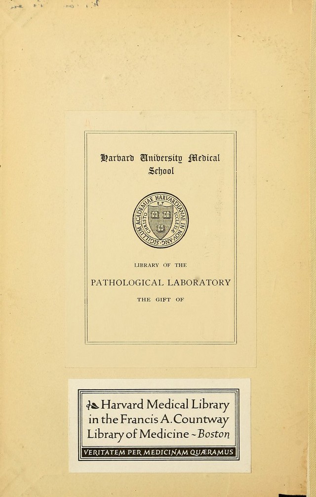 digitised image 2
