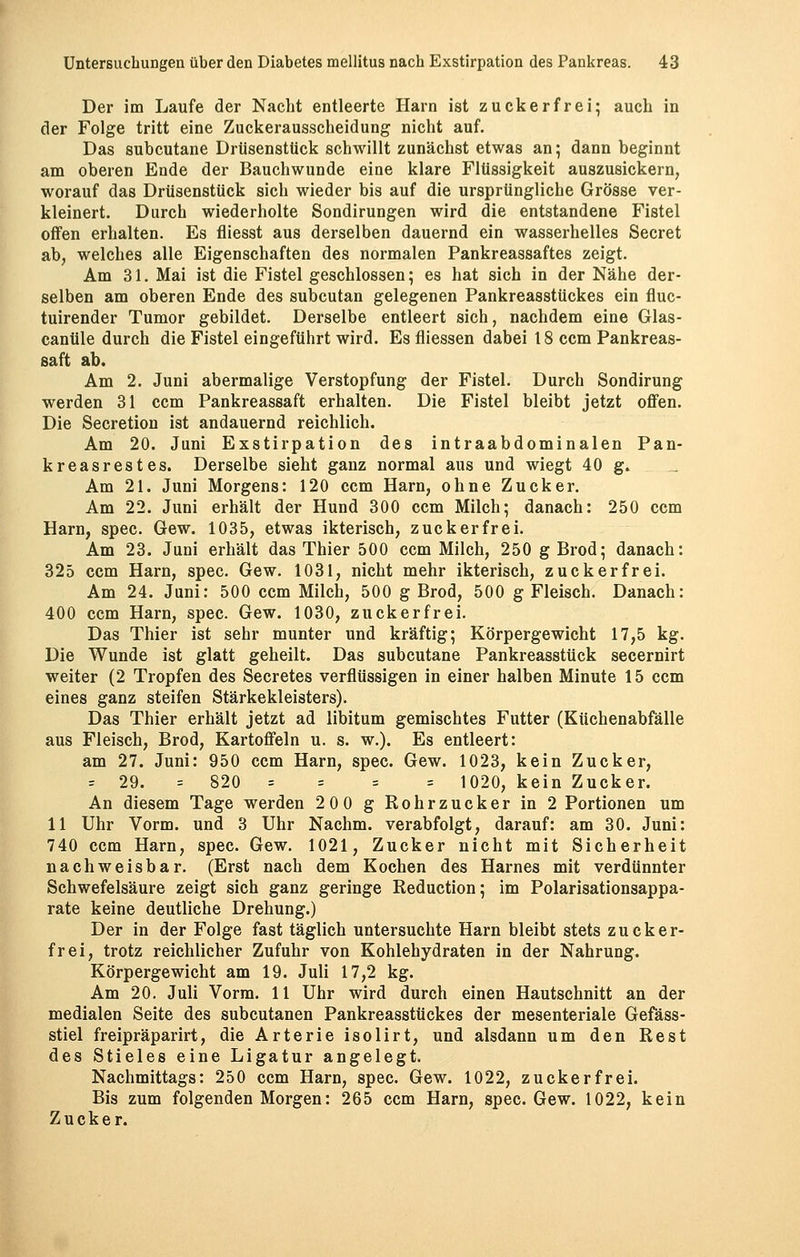 Der im Laufe der Nacht entleerte Harn ist zuckerfrei; auch in der Folge tritt eine Zuckerausscheidung nicht auf. Das subcutane Drüsensttick schwillt zunächst etwas an; dann beginnt am oberen Ende der Bauchwunde eine klare Flüssigkeit auszusickern, worauf das Drüsenstück sich wieder bis auf die ursprüngliche Grösse ver- kleinert. Durch wiederholte Sondirungen wird die entstandene Fistel offen erhalten. Es fliesst aus derselben dauernd ein wasserhelles Secret ab, welches alle Eigenschaften des normalen Pankreassaftes zeigt. Am 31. Mai ist die Fistel geschlossen; es hat sich in der Nähe der- selben am oberen Ende des subcutan gelegenen Pankreasstückes ein fluc- tuirender Tumor gebildet. Derselbe entleert sich, nachdem eine Glas- canüle durch die Fistel eingeführt wird. Es fliessen dabei 18 ccm Pankreas- saft ab. Am 2. Juni abermalige Verstopfung der Fistel. Durch Sondirung werden 31 ccm Pankreassaft erhalten. Die Fistel bleibt jetzt offen. Die Secretion ist andauernd reichlich. Am 20. Juni Exstirpation des intraabdominalen Pan- kreasrestes. Derselbe sieht ganz normal aus und wiegt 40 g. Am 21. Juni Morgens: 120 ccm Harn, ohne Zucker. Am 22. Juni erhält der Hund 300 ccm Milch; danach: 250 ccm Harn, spec. Gew. 1035, etwas ikterisch, zuck er frei. Am 23. Juni erhält das Thier 500 ccm Milch, 250 g Brod; danach: 325 ccm Harn, spec. Gew. 1031, nicht mehr ikterisch, zuckerfrei. Am 24. Juni: 500 ccm Milch, 500 g Brod, 500 g Fleisch. Danach: 400 ccm Harn, spec. Gew. 1030, zuckerfrei. Das Thier ist sehr munter und kräftig; Körpergewicht 17,5 kg. Die Wunde ist glatt geheilt. Das subcutane Pankreasstück secernirt weiter (2 Tropfen des Secretes verflüssigen in einer halben Minute 15 ccm eines ganz steifen Stärkekleisters). Das Thier erhält jetzt ad libitum gemischtes Futter (Küchenabfälle aus Fleisch, Brod, Kartoffeln u. s. w.). Es entleert: am 27. Juni: 950 ccm Harn, spec. Gew. 1023, kein Zucker, = 29. = 820 = = = 1020, kein Zucker. An diesem Tage werden 200 g Rohrzucker in 2 Portionen um 11 Uhr Vorm. und 3 Uhr Nachm. verabfolgt, darauf: am 30. Juni: 740 ccm Harn, spec. Gew. 1021, Zucker nicht mit Sicherheit nachweisbar. (Erst nach dem Kochen des Harnes mit verdünnter Schwefelsäure zeigt sich ganz geringe Reduction; im Polarisationsappa- rate keine deutliche Drehung.) Der in der Folge fast täglich untersuchte Harn bleibt stets zucker- frei, trotz reichlicher Zufuhr von Kohlehydraten in der Nahrung. Körpergewicht am 19. Juli 17,2 kg. Am 20. Juli Vorm. 11 Uhr wird durch einen Hautschnitt an der medialen Seite des subcutanen Pankreasstückes der mesenteriale Gefäss- stiel freipräparirt, die Arterie isolirt, und alsdann um den Rest des Stieles eine Ligatur angelegt. Nachmittags: 250 ccm Harn, spec. Gew. 1022, zuckerfrei. Bis zum folgenden Morgen: 265 ccm Harn, spec. Gew. 1022, kein Zucker.