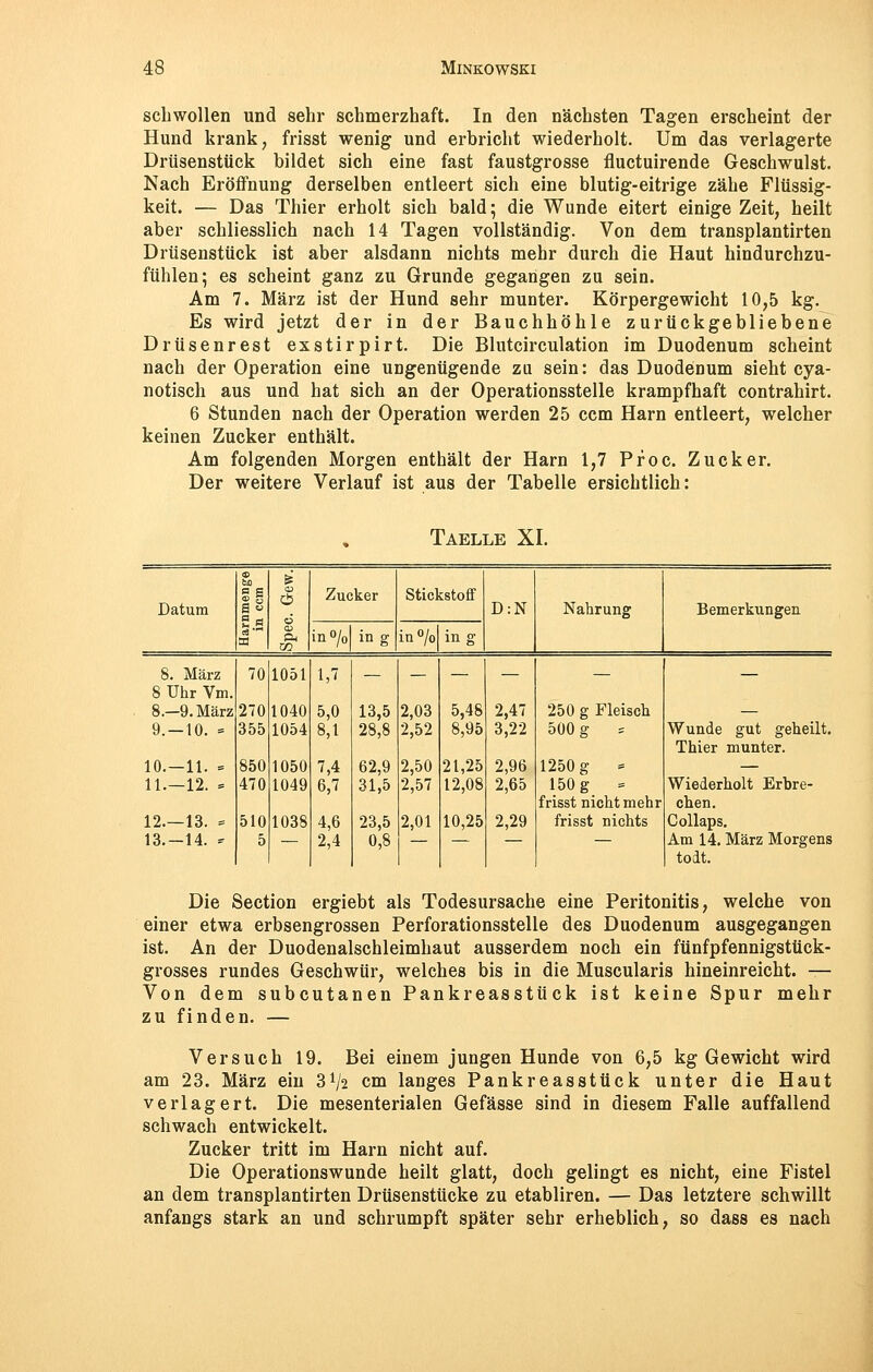 schwollen und sehr schmerzhaft. In den nächsten Tagen erscheint der Hund krank, frisst wenig und erbricht wiederholt. Um das verlagerte Drüsenstück bildet sich eine fast faustgrosse fluctuirende Geschwulst. Nach Eröffnung derselben entleert sich eine blutig-eitrige zähe Flüssig- keit. — Das Thier erholt sich bald; die Wunde eitert einige Zeit, heilt aber schliesslich nach 14 Tagen vollständig. Von dem transplantirten Drüsenstück ist aber alsdann nichts mehr durch die Haut hindurchzu- fühlen; es scheint ganz zu Grunde gegangen zu sein. Am 7. März ist der Hund sehr munter. Körpergewicht 10,5 kg. Es wird jetzt der in der Bauchhöhle zurückgebliebene Drüsenrest exstirpirt. Die Blutcirculation im Duodenum scheint nach der Operation eine ungenügende zu sein: das Duodenum sieht cya- notisch aus und hat sich an der Operationsstelle krampfhaft contrahirt. 6 Stunden nach der Operation werden 25 ccm Harn entleert, welcher keinen Zucker enthält. Am folgenden Morgen enthält der Harn 1,7 Proc. Zucker. Der weitere Verlauf ist aus der Tabelle ersichtlich: Taelle XI. | 55 S cb Zucker Stickstoff Datum a s 6 03 S=L| CO D:N Nahrung Bemerkungen in °/o in g in°/o ing 8. März 70 1051 1,7 8 Uhr Vm. 8.—9. März 270 1040 5,0 13,5 2,03 5,48 2,47 250 g Fleisch — 9.-10. = 355 1054 8,1 28,8 2,52 8,95 3,22 500 g = Wunde gut geheilt. Thier munter. 10.—11. = 850 1050 7,4 62,9 2,50 21,25 2,96 1250 g = — 11.—12. = 470 1049 6,7 31,5 2,57 12,08 2,65 150 g = frisst nicht mehr Wiederholt Erbre- chen. 12.—13. = 510 1038 4,6 23,5 2,01 10,25 2,29 frisst nichts Collaps. 13.-14. * 5 — 2,4 0,8 — — Am 14. März Morgens todt. Die Section ergiebt als Todesursache eine Peritonitis, welche von einer etwa erbsengrossen Perforationsstelle des Duodenum ausgegangen ist. An der Duodenalschleimhaut ausserdem noch ein fünfpfennigstück- grosses rundes Geschwür, welches bis in die Muscularis hineinreicht. — Von dem subcutanen Pankreasstück ist keine Spur mehr zu finden. — Versuch 19. Bei einem jungen Hunde von 6,5 kg Gewicht wird am 23. März ein 3V2 cm langes Pankreasstück unter die Haut verlagert. Die mesenterialen Gefässe sind in diesem Falle auffallend schwach entwickelt. Zucker tritt im Harn nicht auf. Die Operationswunde heilt glatt, doch gelingt es nicht, eine Fistel an dem transplantirten Drüsenstücke zu etabliren. — Das letztere schwillt anfangs stark an und schrumpft später sehr erheblich, so dass es nach