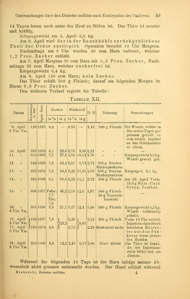 14 Tagen kaum noch unter der Haut zu fühlen ist. Das Thier ist munter und kräftig. Körpergewicht am 5. April 6,8 kg. Am 6. April wird der in der Bauchhöhle zurückgebliebene Theil der Drüse exstirpirt. Operation beendet 10 Uhr Morgens. Nachmittags um 6 Uhr werden 40 ccm Harn entleert, welcher 1,2 Proc. Zucker enthält. Am 7. April Morgens 30 ccm Harn mit 0,3 Proc. Zucker, Nach- mittags 35 ccm Harn, welcher zuckerfrei ist. Körpergewicht 6,4 kg. Am 8. April 130 ccm Harn; kein Zucker. Das Thier erhält 500 g Fleisch; darauf am folgenden Morgen im Harne 6,9 Proc. Zucker. Den weiteren Verlauf ergiebt die Tabelle: Tabelle XII. Datum ZU i 53 S <o 03 fl H o rt m Zucker & in°/o mg Stickstoff in°/ol ing D:N Nahrung Bemerkungen 9. April 8 Uhr Vm 10. April 11. = 12. = 13. = 14. = 15. = 16. 8 Uhr Vm. 16. April 5 Uhr Nrn. 17. April 8 Uhr Vm. 18. April 8 Uhr Vm 120 1057 6,9 360 355 1053 1060 6,1 7,7 340 1059 7,6 490 1055 7,0 495 1046 6,1 600 385 1057 1056 Polar. 7,7 Titr. 7,6 5,9 1100 1057 7,8 f 180 1074 8,5 250 1046 5,0 2,85 2,75 27,3 2,85 24,42,57 34,3 2,43 2,24 22,0 30,0 46,2 21,7 23,2 12,5 2,10 3,27 2,48 3,73 2,43 — 2,42 9,90 10,12 2,22 2,70 8,73 2,72 11,91 2,88 U,l 2,72 12,6 3,67 12,4 1,50 |9,07 3,14 2,28 6,07 2,06 500 g Fleisch 300 g frisches Rinderpankreas 500 g frisches Rinderpankreas 500 g Fleisch 500 g Fleisch 50 g Topinam- burmehl 500 ff Fleisch Körpergewicht 5,5 kg. Wunde vollständig geheilt. 300 g Fleisch Vorm. 10 Uhr subcut. Injection eines frisch frisst nicht mehr bereiteten E x t r a c - tes aus dem Pan- kreas eines gesun- den Hundes, frisst nichts Das Thier ist krank. An der Injections- stelle bildet sich ein Abscess. Während der folgenden 10 Tage ist der Harn infolge meiner Ab- wesenheit nicht genauer untersucht worden. Der Hund erhielt während Minkowski, Diabetes mellitus. 4 Die Wunde, welche in den ersten Tagen per primam geheilt zu sein schien, beginnt an den Stichkanälen zu eitern. Körpergewicht 5,8 kg. Wunde granul. gut. Körpergew. 6,1 kg. Am 13. April Vorm. 15,0 gExtr. fluid. Syzyg. Jambol.