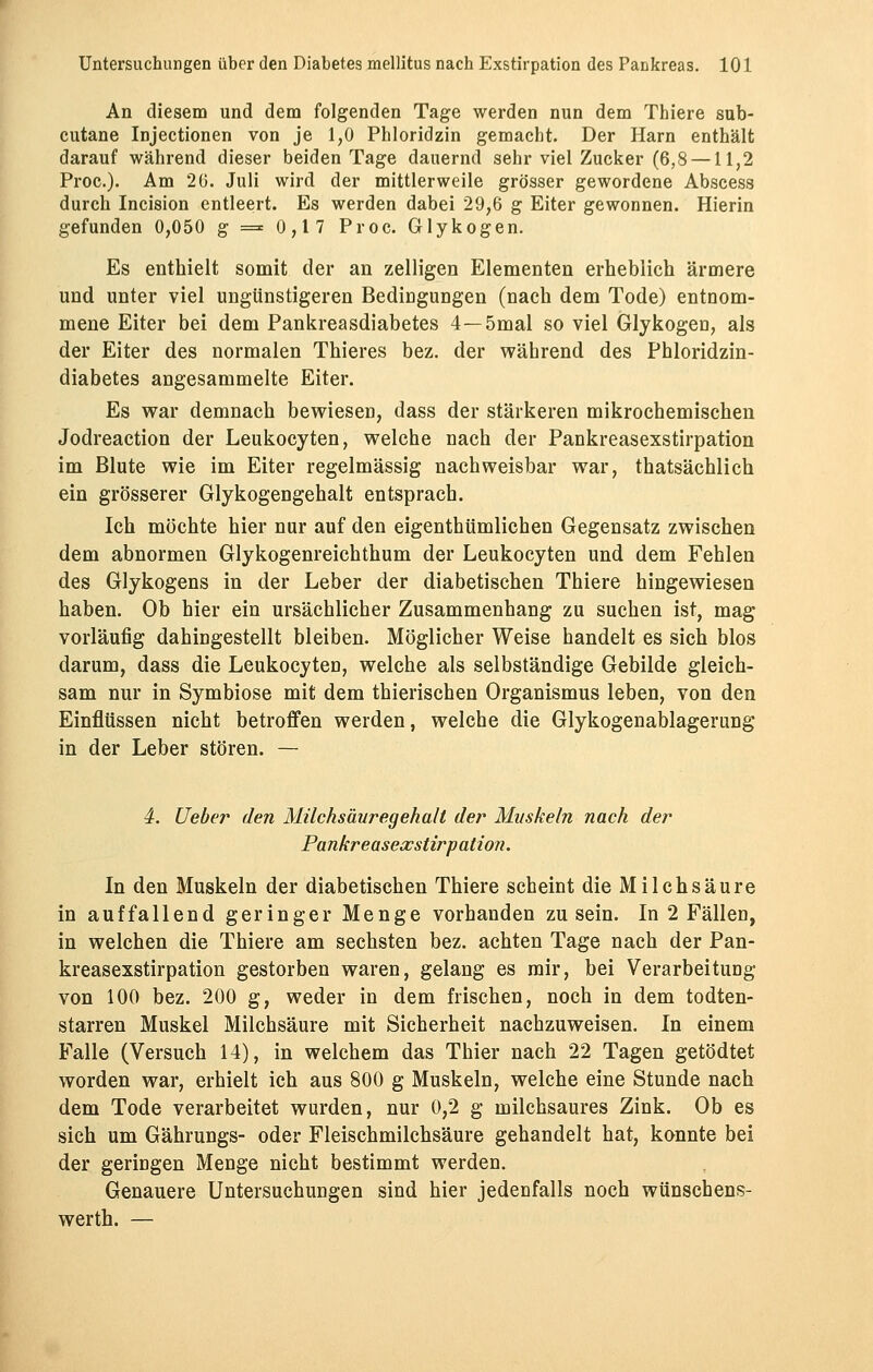 An diesem und dem folgenden Tage werden nun dem Thiere sub- cutane Injectionen von je 1,0 Phloridzin gemacht. Der Harn enthält darauf während dieser beiden Tage dauernd sehr viel Zucker (6,8 —11,2 Proc). Am 26. Juli wird der mittlerweile grösser gewordene Abscess durch Incision entleert. Es werden dabei 29,6 g Eiter gewonnen. Hierin gefunden 0,050 g = 0,17 Proc. Glykogen. Es enthielt somit der an zelligen Elementen erheblich ärmere und unter viel ungünstigeren Bedingungen (nach dem Tode) entnom- mene Eiter bei dem Pankreasdiabetes 4—5mal so viel Glykogen, als der Eiter des normalen Thieres bez. der während des Phloridzin- diabetes angesammelte Eiter. Es war demnach bewiesen, dass der stärkeren mikrochemischen Jodreaction der Leukocyten, welche nach der Pankreasexstirpation im Blute wie im Eiter regelmässig nachweisbar war, thatsächlich ein grösserer Glykogengehalt entsprach. Ich möchte hier nur auf den eigenthümlichen Gegensatz zwischen dem abnormen Glykogenreichthum der Leukocyten und dem Fehlen des Glykogens in der Leber der diabetischen Thiere hingewiesen haben. Ob hier ein ursächlicher Zusammenhang zu suchen ist, mag vorläufig dahingestellt bleiben. Möglicher Weise handelt es sich blos darum, dass die Leukocyten, welche als selbständige Gebilde gleich- sam nur in Symbiose mit dem thierischen Organismus leben, von den Einflüssen nicht betroffen werden, welche die Glykogenablagerung in der Leber stören. — 4. lieber den Milchsäuregehall der Muskeln nach der Pankreasexstirpation. In den Muskeln der diabetischen Thiere scheint die Milchsäure in auffallend geringer Menge vorhanden zusein. In 2 Fällen, in welchen die Thiere am sechsten bez. achten Tage nach der Pan- kreasexstirpation gestorben waren, gelang es mir, bei Verarbeitung von 100 bez. 200 g, weder in dem frischen, noch in dem todten- starren Muskel Milchsäure mit Sicherheit nachzuweisen. In einem Falle (Versuch 14), in welchem das Thier nach 22 Tagen getödtet worden war, erhielt ich aus 800 g Muskeln, welche eine Stunde nach dem Tode verarbeitet wurden, nur 0,2 g milchsaures Zink. Ob es sich um Gährungs- oder Fleischmilchsäure gehandelt hat, konnte bei der geringen Menge nicht bestimmt werden. Genauere Untersuchungen sind hier jedenfalls noch wünschens- werth. —