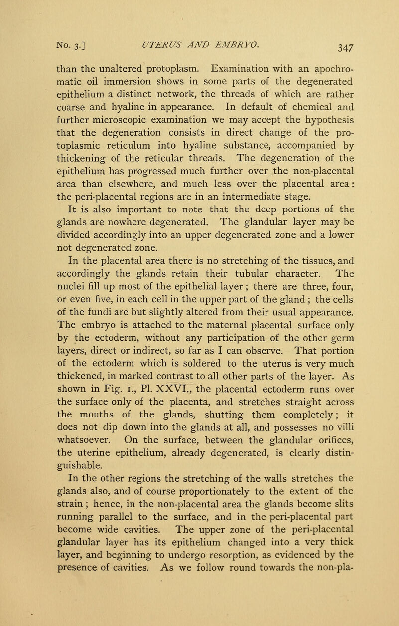 than the unaltered protoplasm. Examination with an apochro- matic oil immersion shows in some parts of the degenerated epithelium a distinct network, the threads of which are rather coarse and hyaline in appearance. In default of chemical and further microscopic examination we may accept the hypothesis that the degeneration consists in direct change of the pro- toplasmic reticulum into hyaline substance, accompanied by thickening of the reticular threads. The degeneration of the epithelium has progressed much further over the non-placental area than elsewhere, and much less over the placental area: the peri-placental regions are in an intermediate stage. It is also important to note that the deep portions of the glands are nowhere degenerated. The glandular layer may be divided accordingly into an upper degenerated zone and a lower riot degenerated zone. In the placental area there is no stretching of the tissues, and accordingly the glands retain their tubular character. The nuclei fill up most of the epithelial layer; there are three, four, or even five, in each cell in the upper part of the gland; the cells of the fundi are but slightly altered from their usual appearance. The embryo is attached to the maternal placental surface only by the ectoderm, without any participation of the other germ layers, direct or indirect, so far as I can observe. That portion of the ectoderm which is soldered to the uterus is very much thickened, in marked contrast to all other parts of the layer. As shown in Fig. i., PI. XXVL, the placental ectoderm runs over the surface only of the placenta, and stretches straight across the mouths of the glands, shutting them completely; it does not dip down into the glands at all, and possesses no villi whatsoever. On the surface, between the glandular orifices, the uterine epithelium, already degenerated, is clearly distin- guishable. In the other regions the stretching of the walls stretches the glands also, and of course proportionately to the extent of the strain ; hence, in the non-placental area the glands become slits running parallel to the surface, and in the peri-placental part become wide cavities. The upper zone of the peri-placental glandular layer has its epithelium changed into a very thick layer, and beginning to undergo resorption, as evidenced by the presence of cavities. As we follow round towards the non-pla-