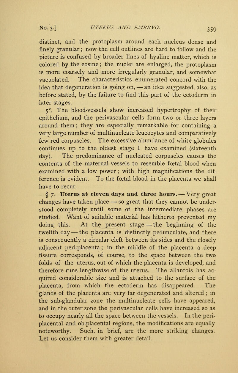 distinct, and the protoplasm around each nucleus dense and finely granular; now the cell outlines are hard to follow and the picture is confused by broader lines of hyaline matter, which is colored by the eosine; the nuclei are enlarged, the protoplasm is more coarsely and more irregularly granular, and somewhat vacuolated. The characteristics enumerated concord with the idea that degeneration is going on, — an idea suggested, also, as before stated, by the failure to find this part of the ectoderm in later stages. 5°. The blood-vessels show increased hypertrophy of their epithelium, and the perivascular cells form two or three layers around them; they are especially remarkable for containing a very large number of multinucleate leucocytes and comparatively few red corpuscles. The excessive abundance of white globules continues up to the oldest stage I have examined (sixteenth day). The predominance of nucleated corpuscles causes the contents of the maternal vessels to resemble foetal blood when examined with a low power; with high magnifications the dif- ference is evident. To the foetal blood in the placenta we shall have to recur. § 7. Uterus at eleven days and three hours. — Very great changes have taken place — so great that they cannot be under- stood completely until some of the intermediate phases are studied. Want of suitable material has hitherto prevented my doing this. At the present stage — the beginning of the twelfth day — the placenta is distinctly pedunculate, and there is consequently a circular cleft between its sides and the closely adjacent peri-placenta; in the middle of the placenta a deep fissure corresponds, of course, to the space between the two folds of the uterus, out of which the placenta is developed, and therefore runs lengthwise of the uterus. The allantois has ac- quired considerable size and is attached to the surface of the placenta, from which the ectoderm has disappeared. The glands of the placenta are very far degenerated and altered ; in the sub-glandular zone the multinucleate cells have appeared, and in the outer zone the perivascular cells have increased so as to occupy nearly all the space between the vessels. In the peri- placental and ob-placental regions, the modifications are equally noteworthy. Such, in brief, are the more striking changes. Let us consider them with greater detail.