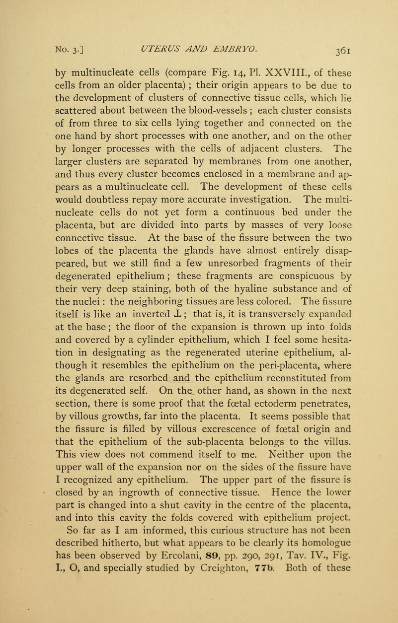 by multinudeate cells (compare Fig. 14, PI. XXVIII., of these cells from an older placenta) ; their origin appears to be due to the development of clusters of connective tissue cells, which lie scattered about between the blood-vessels ; each cluster consists of from three to six cells lying together and connected on the one hand by short processes with one another, and on the other by longer processes with the cells of adjacent clusters. The larger clusters are separated by membranes from one another, and thus every cluster becomes enclosed in a membrane and ap- pears as a multinucleate cell. The development of these cells would doubtless repay more accurate investigation. The multi- nucleate cells do not yet form a continuous bed under the placenta, but are divided into parts by masses of very loose connective tissue. At the base of the fissure between the two lobes of the placenta the glands have almost entirely disap- peared, but we still find a few unresorbed fragments of their degenerated epithelium; these fragments are conspicuous by their very deep staining, both of the hyaline substance and of the nuclei: the neighboring tissues are less colored. The fissure itself is like an inverted X; that is, it is transversely expanded at the base; the floor of the expansion is thrown up into folds and covered by a cylinder epithelium, which I feel some hesita- tion in designating as the regenerated uterine epithelium, al- though it resembles the epithelium on the peri-placenta, where the glands are resorbed and the epithelium reconstituted from its degenerated self. On the other hand, as shown in the next section, there is some proof that the foetal ectoderm penetrates, by villous growths, far into the placenta. It seems possible that the fissure is filled by villous excrescence of foetal origin and that the epithelium of the sub-placenta belongs to the villus. This view does not commend itself to me. Neither upon the upper wall of the expansion nor on the sides of the fissure have I recognized any epithelium. The upper part of the fissure is closed by an ingrowth of connective tissue. Hence the lower part is changed into a shut cavity in the centre of the placenta, and into this cavity the folds covered with epithelium project. So far as I am informed, this curious structure has not been described hitherto, but what appears to be clearly its homologue has been observed by Ercolani, 89, pp. 290, 291, Tav. IV., Fig. I., O, and specially studied by Creighton, 77b. Both of these