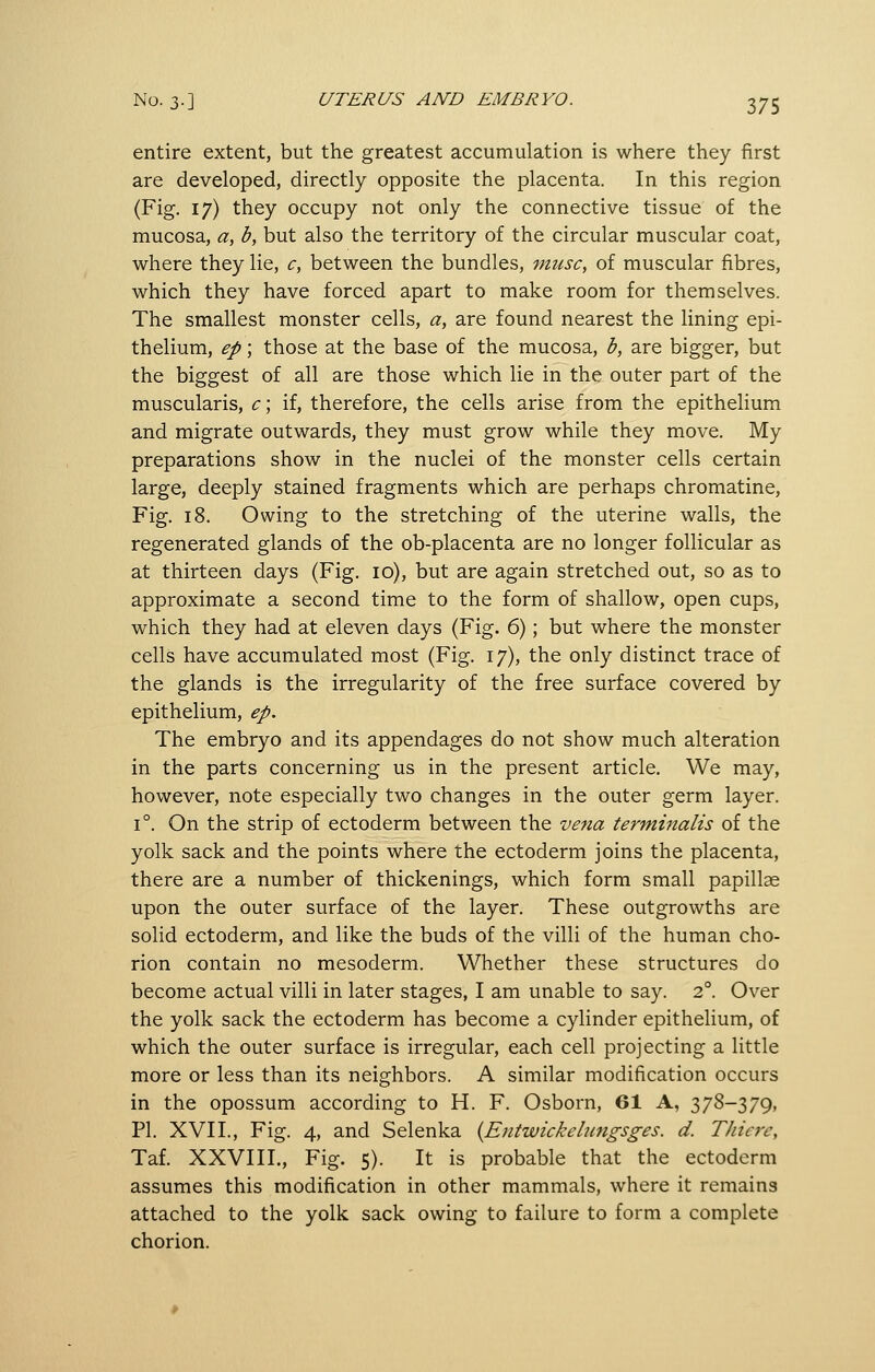 entire extent, but the greatest accumulation is where they first are developed, directly opposite the placenta. In this region (Fig. 17) they occupy not only the connective tissue of the mucosa, a, b, but also the territory of the circular muscular coat, where they lie, c, between the bundles, muse, of muscular fibres, which they have forced apart to make room for themselves. The smallest monster cells, a, are found nearest the lining epi- thelium, ep; those at the base of the mucosa, b, are bigger, but the biggest of all are those which lie in the outer part of the muscularis, c; if, therefore, the cells arise from the epithelium and migrate outwards, they must grow while they move. My preparations show in the nuclei of the monster cells certain large, deeply stained fragments which are perhaps chromatine. Fig. 18. Owing to the stretching of the uterine walls, the regenerated glands of the ob-placenta are no longer follicular as at thirteen days (Fig. 10), but are again stretched out, so as to approximate a second time to the form of shallow, open cups, which they had at eleven days (Fig. 6); but where the monster cells have accumulated most (Fig. 17), the only distinct trace of the glands is the irregularity of the free surface covered by epithelium, ep. The embryo and its appendages do not show much alteration in the parts concerning us in the present article. We may, however, note especially two changes in the outer germ layer. 1°. On the strip of ectoderm between the vena terminalis of the yolk sack and the points where the ectoderm joins the placenta, there are a number of thickenings, which form small papillae upon the outer surface of the layer. These outgrowths are solid ectoderm, and like the buds of the villi of the human cho- rion contain no mesoderm. Whether these structures do become actual villi in later stages, I am unable to say. 2°. Over the yolk sack the ectoderm has become a cylinder epithelium, of which the outer surface is irregular, each cell projecting a little more or less than its neighbors. A similar modification occurs in the opossum according to H. F. Osborn, 61 A, 378-379, PI. XVII., Fig. 4, and Selenka {Entwiekelmigsges. d. TJiiere, Taf. XXVIII., Fig. 5). It is probable that the ectoderm assumes this modification in other mammals, where it remains attached to the yolk sack owing to failure to form a complete chorion.