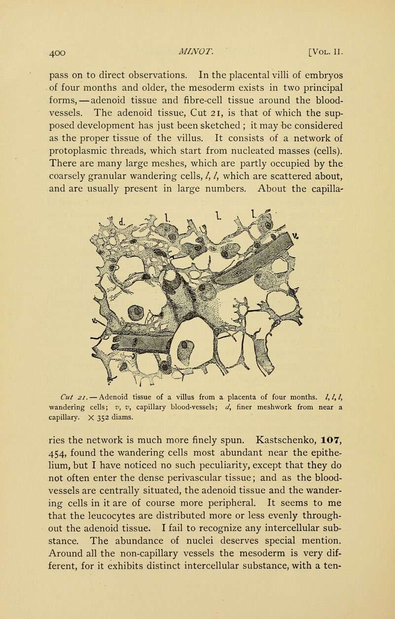 pass on to direct observations. In the placental villi of embryos of four months and older, the mesoderm exists in two principal forms,—adenoid tissue and fibre-cell tissue around the blood- vessels. The adenoid tissue, Cut 21, is that of which the sup- posed development has just been sketched ; it may be considered as the proper tissue of the villus. It consists of a network of protoplasmic threads, which start from nucleated masses (cells). There are many large meshes, which are partly occupied by the coarsely granular wandering cells, /, /, which are scattered about, and are usually present in large numbers. About the capilla- Cut 21. — Adenoid tissue of a villus from a placenta of four months. /, /, /, wandering cells; v, v, capillary blood-vessels; d, finer meshwork from near a capillary. X 352 diams. ries the network is much more finely spun. Kastschenko, 107, 454, found the wandering cells most abundant near the epithe- lium, but I have noticed no such peculiarity, except that they do not often enter the dense perivascular tissue; and as the blood- vessels are centrally situated, the adenoid tissue and the wander- ing cells in it are of course more peripheral. It seems to me that the leucocytes are distributed more or less evenly through- out the adenoid tissue. I fail to recognize any intercellular sub- stance. The abundance of nuclei deserves special mention. Around all the non-capillary vessels the mesoderm is very dif- ferent, for it exhibits distinct intercellular substance, with a ten-