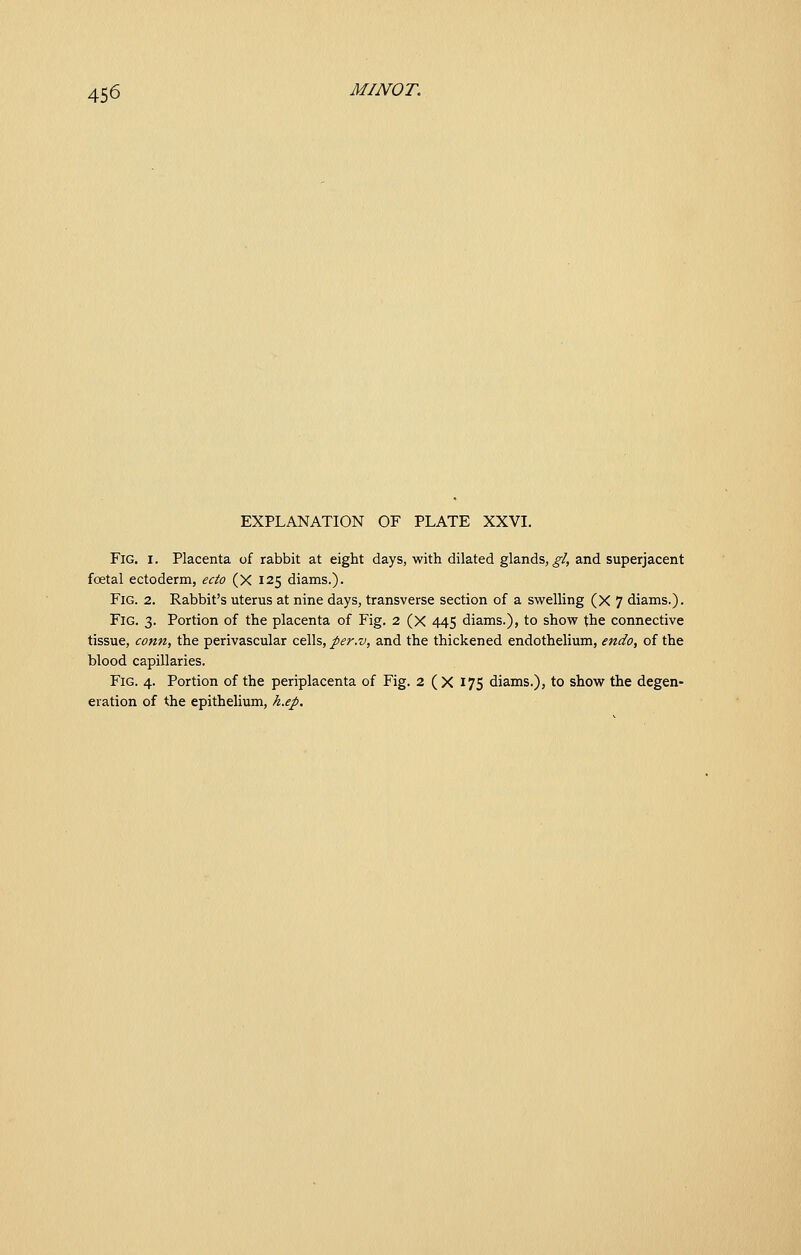 EXPLANATION OF PLATE XXVI. Fig. I. Placenta of rabbit at eight days, with dilated glands,^/, and superjacent foetal ectoderm, ecto (X 125 diams.). Fig. 2. Rabbit's uterus at nine days, transverse section of a swelling (X 7 diams.). Fig. 3. Portion of the placenta of Fig. 2 (X 445 diams.), to show the connective tissue, conn, the perivascular cells, per.v, and the thickened endothelium, endo, of the blood capillaries. Fig. 4. Portion of the periplacenta of Fig. 2 (X 175 diams.), to show the degen- eration of the epithelium, h.ep.