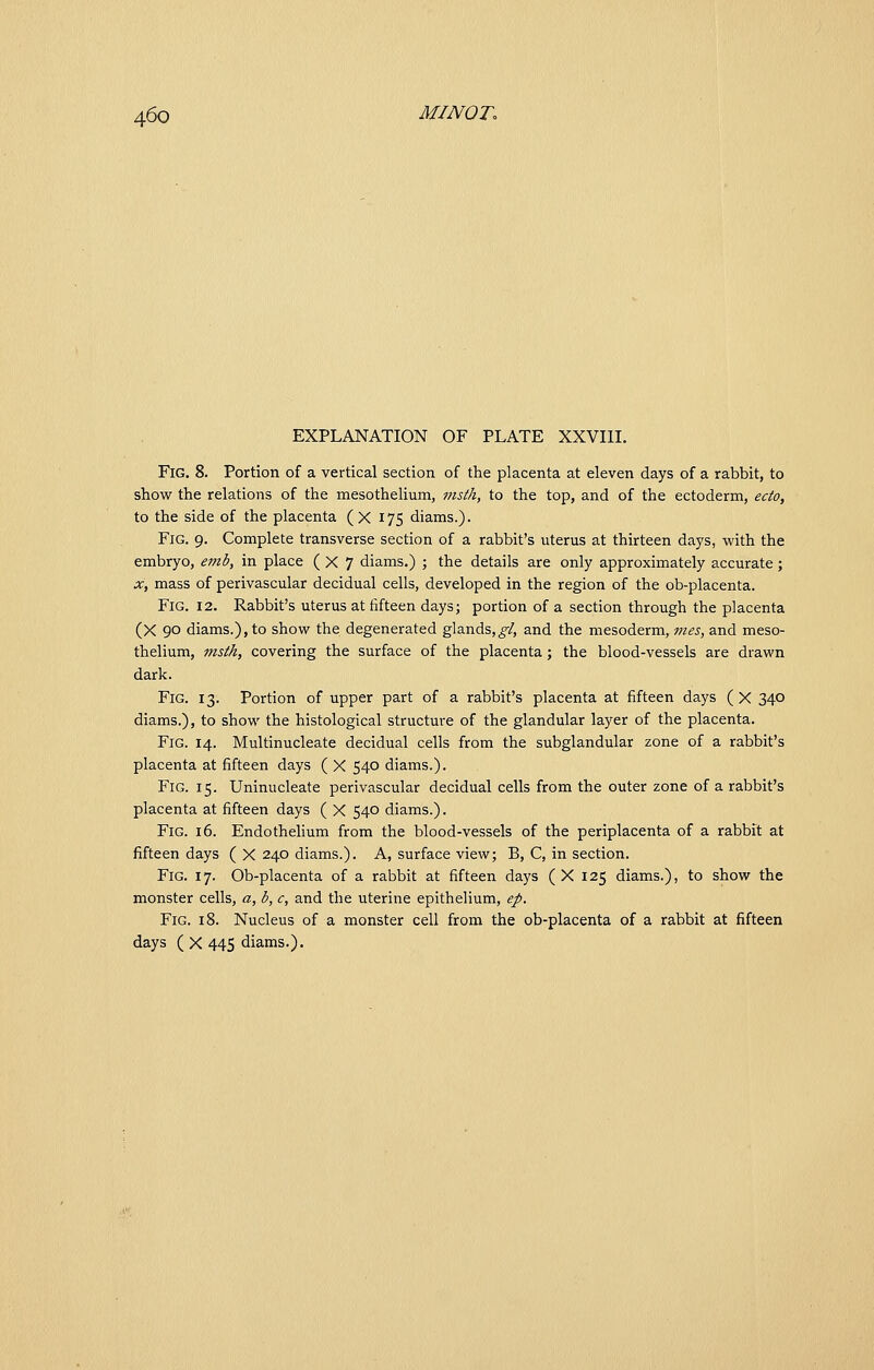 EXPLANATION OF PLATE XXVIII. Fig. 8. Portion of a vertical section of the placenta at eleven days of a rabbit, to show the relations of the mesothelium, msth, to the top, and of the ectoderm, edo, to the side of the placenta (X 175 diams.). Fig. 9. Complete transverse section of a rabbit's uterus at thirteen days, with the embryo, emb, in place ( X 7 diams.) ; the details are only approximately accurate; X, mass of perivascular decidual cells, developed in the region of the ob-placenta. Fig. 12. Rabbit's uterus at fifteen days; portion of a section through the placenta (X 90 diams.), to show the degenerated glands,^/, and the mesoderm, vies, and meso- thelium, msth, covering the surface of the placenta; the blood-vessels are drawn dark. Fig. 13. Portion of upper part of a rabbit's placenta at fifteen days ( X 340 diams.), to show the histological structure of the glandular layer of the placenta. Fig. 14. Multinucleate decidual cells from the subglandular zone of a rabbit's placenta at fifteen days ( X 540 diams.). Fig. 15. Uninucleate perivascular decidual cells from the outer zone of a rabbit's placenta at fifteen days ( X 540 diams.). Fig. 16. Endothehum from the blood-vessels of the periplacenta of a rabbit at fifteen days ( X 240 diams.). A, surface view; B, C, in section. Fig. 17. Ob-placenta of a rabbit at fifteen days (X 125 diams.), to show the monster cells, a, b, c, and the uterine epithelium, ep. Fig. 18. Nucleus of a monster cell from the ob-placenta of a rabbit at fifteen days ( X 445 diams.).
