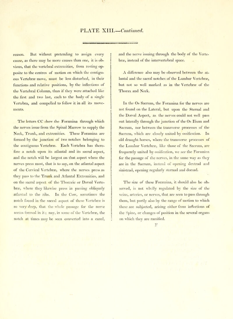 reason. But without pretending to assign every cause, as there may be more causes than one, it is ob- vious, that the vertebral extremities, from resting op- posite to the centres of motion on which the contigu- ous Vertebrae move, must be less disturbed, in their functions and relative positions, by the inflections of the Vertebral Column, than if they were attached like the first and two last, each to the body of a single Vertebra, and compelled to follow it in all its move- ments. The letters CC show the Foramina through which the nerves issue from the Spinal Marrow to supply the Neck, Trunk, and extremities. These Foramina are formed by the junction of two notches belonging to the contiguous Vertebra?. Each Vertebra has there- fore a notch upon its atlantal and its sacral aspect, and the notch will be largest on that aspect where the nerves press most, that is to say, on the atlantal aspect of the Cervical Vertebras, where the nerves press as they pass to the Trunk and Atlantal Extremities, and on the sacral aspect of the Thoracic or Dorsal Verte- bra?, where they likewise press in passing obliquely atlantad to the ribs. In the Cow, sometimes the notch found in the sacral aspect of these Vertebra? is so very deep, that the whole passage for the nerve seems formed in it; nay, in some of the Vertebras, the notch at times may be seen converted into a canal, and the nerve issuing through the body of the Verte- bra?, instead of the intervertebral space. A difference also may be observed between the at- lantal and the sacral notches of the Lumbar Vertebras, but not so well marked as in the Vertebra? of the Thorax and Neck. In the Os Sacrum, the Foramina for the nerves are not found on the Lateral, but upon the Sternal and the Dorsal Aspect, as the nerves could not well pass out laterally through the junction of the Os Ilium and Sacrum, nor between the transverse processes of the Sacrum, which are closely united by ossification. In old draught horses, where the transverse processes of the Lumbar Vertebra?, like those of the Sacrum, are frequently united by ossification, we see the Foramina for the passage of the nerves, in the same way as they are in the Sacrum, instead of opening dextrad and sinistrad, opening regularly sternad and dorsad. The size of these Foramina, it should also be ob- served, is not wholly regulated by the size of the veins, arteries, or nerves, that are seen to pass through them, but partly also by the range of motion to which these are subjected, arising either from inflections of the Spine, or changes of position in the several organs on which they are ramified. F