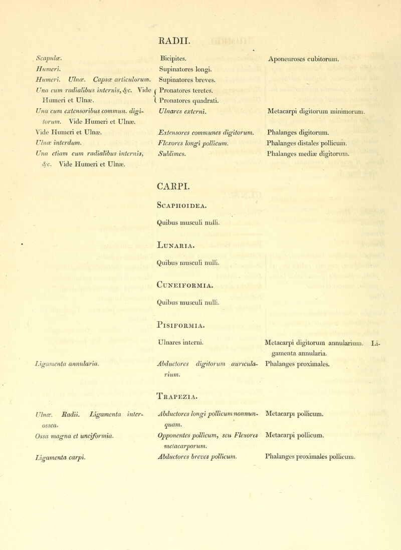 RADII. Scapulas. Bicipites. Humeri. Supinatores longi. Humeri. Ulnce. Capsce articulorum. Supinatores breves. Una cum radialibus internis, fyc. Vide ( Pronatores teretes. I Pronatores quadrati. Aponeuroses cubitorum. Humeri et Ulna?. Una cum extensoribus commun. digi- torum. Vide Humeri et Ulnae. Vide Humeri et Ulnae. Ulnae interdum. Una etiam cum radialibus internis, Ac Vide Humeri et Ulnae. Ulnares externi. Extensores communes digitorum. Flexor es longi pollicum. Sublimes. Metacarpi digitorum minimorum. Phalanges digitorum. Phalanges distales pollicum. Phalanges mediae digitorum. Ligamenta annularia. CAEPI. SCAPHOIDEA. Quibus musculi nulli. LlJNARIA. Quibus musculi nulli. CuNEIFORMIA. Quibus musculi nulli. PlSIFORMIA. Ulnares interni. Metacarpi digitorum annularium. Li- gamenta annularia. Abductores digitorum aumcida- Phalanges proximales. num. Ulna:. Radii. Ligamenta inter- ossea- Ossa magna et unciformia. Ligamenta carpi. Trapezia. Abductores longi pollicum nonnun. Metacarpi pollicum. quam. Opponentes pollicum, sen Flexor es Metacarpi pollicum. melacarporum. Abductores breves pollicum. Phalanges proximales pollicum.