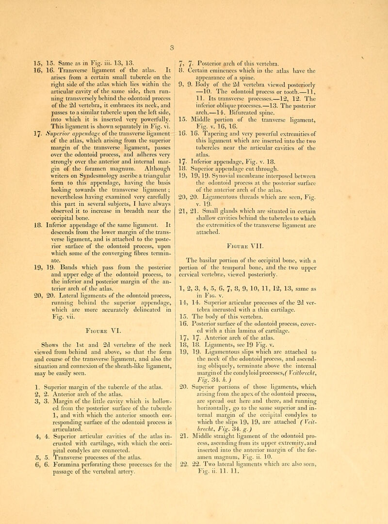 16, 16. Transverse ligament of the atlas. It arises from a certain small tubercle on the right side of the atlas which lies within the articular cavity of the same side, then run- ning transversely behind the odontoid process of the 2d vertebra, it embraces its neck, and passes to a similar tubercle upon the left side, into which it is inserted very powerfully. This ligament is shown separately in Fig. vi. 17- Superior appendage of the transverse ligament of the atlas, which arising from the superior margin of the transverse ligament, passes over the odontoid process, and adheres very strongly over the anterior and internal mar- gin of the foramen magnum. Although writers on Syndesmology ascribe a triangular form to this appendage, having the basis looking towards the transverse ligament: nevertheless having examined very carefully this part in several subjects, I have always observed it to increase in breadth near the occipital bone. 18, Inferior appendage of the same ligament. It descends from the lower margin of the trans- verse ligament, and is attached to the poste- rior surface of the odontoid process, upon which some of the converging fibres termin- ate. 19, 19- Bands which pass from the posterior and upper edge of the odontoid process, to the inferior and posterior margin of the an- terior arch of the atlas. 20, 20. Lateral ligaments of the odontoid process, running behind the superior appendage, which are more accurately delineated in Fig. vii. Figure VI. Shows the 1st and 2d vertebra? of the neck viewed from behind and above, so that the form and course of the transverse ligament, and also, the situation and connexion of the sheath-like ligament, may be easily seen. 1, Superior margin of the tubercle of the atlas. 2, 2. Anterior arch of the atlas. 3, 3. Margin of the little cavity which is hollow- ed from the posterior surface of the tubercle 1, and with which the anterior smooth cor- responding surface of the odontoid process is articulated. 4, 4. Superior articular cavities of the atlas in- crusted with cartilage, with which the occi- pital condyles are connected. 5, 5. Transverse processes of the atlas. 6, 6. Foramina perforating these processes for the passage of the vertebral artery. 8, Certain eminences which in the atlas have the appearance of a spine. 9, 9. Body of the 2d vertebra viewed posteriorly —10. The odontoid process or tooth.—11, 11. Its transverse processes.—12, 12. The inferior oblique processes.—13. The posterior arch.—14. Bifurcated spine. 15. Middle portion of the tranverse ligament, Fig. v. 16, 16. 16. 16. Tapering and very powerful extremities of this ligament which are inserted into the two tubercles near the articular cavities of the atlas. 17. Inferior appendage, Fig. v. 18. 18. Superior appendage cut through. 19. 19, 19. Synovial membrane interposed between the odontoid process at the posterior surface of the anterior arch of the atlas. 20. 20. Ligamentous threads which are seen, Fig. v. 19. 21. 21. Small glands which are situated in certain shallow cavities behind the tubercles to which the extremities of the transverse ligament are attached. Figure VII. The basilar portion of the occipital bone, with a portion of the temporal bone, and the two upper cervical vertebra;, viewed posteriorly. 1, 2, 3, 4, 5, 6, 7, 8, 9, 10, 11, 12, 13, same as in FrG. v. 14. 14. Superior articular processes of the 2d ver- tebra incrusted with a thin cartilage. 15. The body of this vertebra. 16. Posterior surface of the odontoid process, cover- ed with a thin lamina of cartilage. 17. 17- Anterior arch of the atlas. 18. 18. Ligaments, see 19 Fig. v. 19. 19. Ligamentous slips which are attached to the neck of the odontoid process, and ascend- ing obliquely, terminate above the internal margin of the condyloid processes, ( Veilbrecht, Fig. 34. h.J 20. Superior portions of those ligaments, which arising from the apex of the odontoid process, are spread out here and there, and running horizontally, go to the same superior and in- ternal margin of the occipital condyles to which the slips 19, 19? are attached (Veit- hrecht, Fig. 34. g.J 21. Middle straight ligament of the odontoid pro- cess, ascending from its upper extremity, and inserted into the anterior margin of the for- amen magnum, Fig. ii. 10. 22. 22. Two lateral ligaments which are also seen, Fig. ii. 11. 11.