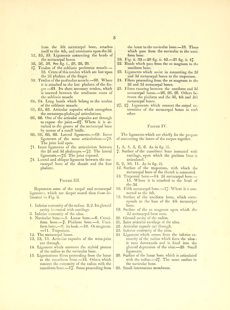from the 5th metacarpal bone, attaches itself to the 4th, and terminates upon the 3d. 55, 55, 55. Ligaments connecting the heads of the metacarpal bones. 56, 56, 56. See fig. i., 28, 28, 28. 57- Tendon of the sublimis perforatus muscle.— 58. Crura of this tendon which are lost upon the 2d phalanx of the finger. 59. Tendon of the profundus muscle.—60. Where it is attached to the last phalanx of the fin- ger.—61. Its short accessory tendon, which is inserted between the tendinous crura of the sublimis muscle. 64, 64. Long bands which belong to the tendon of the sublimis muscle. 65, 65, 65. Articular capsules which strengthen the metacarpo-phalangal articulations. 66, 66. One of the articular capsules cut through to expose the joint.—67- Where it is at- tached to the groove of the metacarpal bone by means of a small bridle. 68, 68, 68, 68. Lateral ligaments.—69. Inner ligaments of the same articulations.—7^- The joint laid open. 71. Inner ligaments of the articulation between the 2d and 3d phalanges.—^2. The lateral ligaments.—7^- The joint exposed. 74. Lateral and oblique ligament between the me- tacarpal bone of the thumb and the first phalanx. Figure III. Represents some of the carpal and metacarpal ligaments, which are deeper seated than those de- lineated in Fig. ii. 1. Inferior extremity of the radius. 2,2. Its glenoid cavity in crusted with cartilage. 3. Inferior extremity of the ulna. 4. Navicular bone.—5. Lunar bone.—6. Cunei- form bone.—7- Pisiform bone.—8. Unci- form bone,—9. its hook.—10. Os magnum. —11. Trapezium. 12. The metacarpal bones. 13. 13, 13. Articular capsules of the wrist-joint cut through. 14. Ligament which connects the styloid process of the radius to the navicular bone. 15. Ligamentous fibres proceeding from the lunar to the cuneiform bone.—16. Others which connect the extremity of the radius with the cuneiform bone.—17^ Some proceeding from 19 22. the lunar to the navicular bone.—18. Those which pass from the navicular to the unci- form bone. Fig. ii. 39—20 fig. ii. 42.—21 fig. ii. 47. Bands which pass from the os magnum to the unciform bone. 23. Ligaments which assist in connecting the 2d and 3d metacarpal bones to the trapezium. 24. Fibres proceeding from the os magnum to the 2d and 3d metacarpal bones. 25. Fibres running between the unciform and 3d metacarpal bones.—26, 26, 26. Others be- tween the pisiform and the 3d, 4th and 5th metacarpal bones. 27, 27- Ligaments which connect the carpal ex- tremities of the metacarpal bones to each other. Figure IV. The ligaments which are chiefly for the purpose of connecting the bones of the carpus together. 1, 3, 4, 5, 6, 6. As in fig. iii. 7. Surface of the cuneiform bone incrusted with cartilage, upon which the pisiform bone is articulated. 8, 9, 10, 11. As in fig. iii. 12. Surface of the trapezium, with which the metacarpal bone of the thumb is connected. 13. Trapezoid bone.—14. 2d metacarpal bone.— 15. Where it is attached to the head of the 3d. 16. Fifth metacarpal bone.—17. Where it is con- nected to the 4th. 18. Surface of the unciform bone, which corre- sponds to the base of the 4th metacarjial bone. 19. Surface of the os magnum upon which the 3d metacarpal bone rests. 20. Glenoid cavity of the radius. 21. Inter articular cartilage of the ulna. 22. Articular capsule cut through. 23. Inferior extremity of the ulna. 24 Ligament which comes from the inferior ex- tremity of the radius which faces the ulna : it runs downwards and is fixed into the glenoid depression of the ulna.—25. Small ligaments. 26. Surface of the lunar bone which is articulated with the radius.—27- The same surface in the navicular bone. 28. Small interosseous membrane.