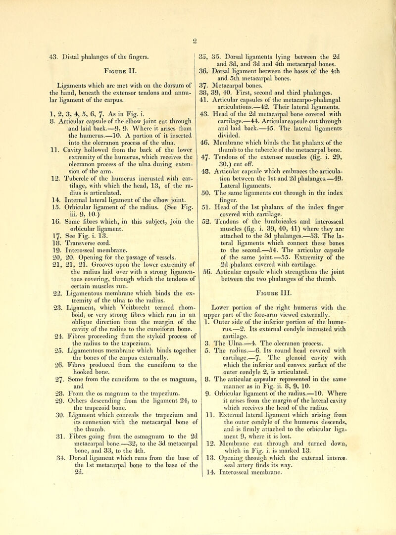 2 11 12. 43. Distal phalanges of the fingers. Figure II. Ligaments which are met with on the dorsum of the hand, beneath the extensor tendons and annu- lar ligament of the carpus. 1, 2, 3, 4, 5, 6, 7. As in Fig. i. 8. Articular capsule of the elbow joint cut through and laid back.—9, 9- Where it arises from the humerus.—10. A portion of it inserted into the olecranon process of the ulna. Cavity hollowed from the back of the lower extremity of the humerus, which receives the olecranon process of the ulna during exten- sion of the arm. Tubercle of the humerus incrusted with car- tilage, with which the head, 13, of -the ra- dius is articulated. 14. Internal lateral ligament of the elbow joint. 15. Orbicular ligament of the radius. (See Fig. iii. 9, 10.) Some fibres which, in this subject, join the orbicular ligament. See Fig. i. 13. Transverse cord. Interosseal membrane. 20. Opening for the passage of vessels. 21, 21, 21. Grooves upon the lower extremity of the radius laid over with a strong ligamen- through which the tendons of muscles run. 16. 17- 18. 19. 20, 35, 35. Dorsal ligaments lying between the 2d and 3d, and 3d and 4th metacarpal bones. 36. Dorsal ligament between the bases of the 4th and 5th metacarpal bones. 37- Metacarpal bones. 38, 39, 40. First, second and third phalanges. 41. Articular capsules of the metacarpo-phalangal articulations.—42. Their lateral ligaments. 43. Head of the 2d metacarpal bone covered with cartilage.—44. Articular capsule cut through and laid back.—45. The lateral ligaments divided. 46. Membrane which binds the 1st phalanx of the thumb to the tubercle of the metacarpal bone. 47. Tendons of the extensor muscles (fig. i. 29, 30,) cut off. 48. Articular capsule which embraces the articula- tion between the 1st and 2d phalanges.—49- Lateral ligaments. 50. The same ligaments cut through in the index finger. 51. Head of the 1st phalanx of the index finger covered with cartilage. 52. Tendons of the lumbricales and interosseal muscles (fig. i. 39, 40, 41) where they are attached to the 3d phalanges.—53. The la- teral ligaments which connect these bones to the second.—54. The articular capsule of the same joint.—55. Extremity of the 2d phalanx covered with cartilage. 56. Articular capsule which strengthens the joint between the two phalanges of the thumb. certain 22. Ligamentous membrane which binds the ex- tremity of the ulna to the radius. 23. Ligament, which Veitbrecht termed rhom- boid, or very strong fibres which run in an oblique direction from the margin of the cavity of the radius to the cuneiform bone. 24. Fibres proceeding from the styloid process of the radius to the trapezium. 25. Ligamentous membrane which binds together the bones of the carpus externally. 26. Fibres produced from the cuneiform to the hooked bone. 27- Some from the cuneiform to the os magnum, and 28. From the os magnum to the trapezium. 29- Others descending from the ligament 24, to the trapezoid bone. 30. Ligament which conceals the trapezium and its connexion with the metacarpal bone of the thumb. 31. Fibres going from the osmagnum to the 2d metacarpal bone.—32, to the 3d metacarpal bone, and 33, to the 4th. 34. Dorsal ligament which runs from the base of the 1st metacarpal bone to the base of the 2d. Figure III. Lower portion of the right humerus with upper part of the fore-arm viewed externally. the 8. 9- 11 12. 13. 14. Outer side of the inferior portion of the hume- rus.—2. Its external condyle incrusted with cartilage. The Ulna.—4. The olecranon process. The radius.—6. Its round head covered with cartilage.—'J. The glenoid cavity with which the inferior and convex surface of the outer condyle 2, is articulated. The articular capsular represented in the same manner as in Fig. ii. 8, 9, 10. Orbicular ligament of the radius.—10. Where it arises from the margin of the lateral cavity which receives the head of the radius. . External lateral ligament which arising from the outer condyle of the humerus descends, and is firmly attached to the orbicular liga- ment 9, where it is lost. Membrane cut through and turned down, which in Fig. i. is marked 13. Opening through which the external interos- seal artery finds its way. Interosseal membrane.