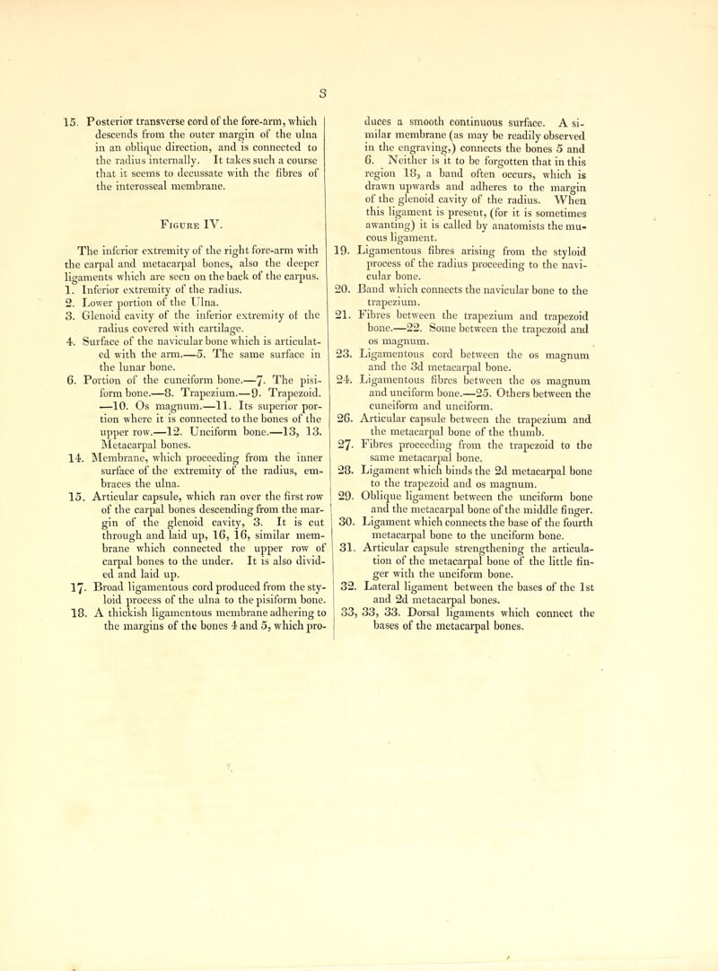 15. Posterior transverse cord of the fore-arm, which descends from the outer margin of the ulna in an oblique direction, and is connected to the radius internally. It takes such a course that it seems to decussate with the fibres of the interosseal membrane. Figure IV. The inferior extremity of the right fore-arm with the carpal and metacarpal bones, also the deeper ligaments which are seen on the back of the carpus. 1. Inferior extremity of the radius. 2. Lower portion of the Ulna. 3. Glenoid cavity of the inferior extremity of the radius covered with cartilage. 4. Surface of the navicular bone which is articulat- ed with the arm.—5. The same surface in the lunar bone. 6. Portion of the cuneiform bone.—']. The pisi- form bone.—8. Trapezium.—9- Trapezoid. —10. Os magnum.—11. Its superior por- tion where it is connected to the bones of the upper row.—12. Unciform bone.—13, 13. Metacarpal bones. 14. Membrane, which proceeding from the inner surface of the extremity of the radius, em- braces the ulna. 15. Articular capsule, which ran over the first row of the carpal bones descending from the mar- gin of the glenoid cavity, 3. It is cut through and laid up, 16, 16, similar mem- brane which connected the upper row of carpal bones to the under. It is also divid- ed and laid up. 17- Broad ligamentous cord produced from the sty- loid process of the ulna to the pisiform bone. 18. A thickish ligamentous membrane adhering to the margins of the bones 4 and 5, which pro- duces a smooth continuous surface. A si- milar membrane (as may be readily observed in the engraving,) connects the bones 5 and 6. Neither is it to be forgotten that in this region 183 a band often occurs, which is drawn upwards and adheres to the margin of the glenoid cavity of the radius. When this ligament is present, (for it is sometimes awanting) it is called by anatomists the mu- cous ligament. Ligamentous fibres arising from the styloid process of the radius proceeding to the navi- cular bone. Band which connects the navicular bone to the trapezium. Fibres between the trapezium and trapezoid bone.—22. Some between the trapezoid and os magnum. Ligamentous cord between the os magnum and the 3d metacarpal bone. Ligamentous fibres between the os magnum and unciform bone.—25. Others between the cuneiform and unciform. 26. Articular capsule between the trapezium and the metacarpal bone of the thumb. 27. Fibres proceeding from the trapezoid to the same metacarpal bone. Ligament which binds the 2d metacarpal bone to the trapezoid and os magnum. Oblique ligament between the unciform bone and the metacarpal bone of the middle finger. Ligament which connects the base of the fourth metacarpal bone to the unciform bone. Articular capsule strengthening the articula- tion of the metacarpal bone of the little fin- ger with the unciform bone. Lateral ligament between the bases of the 1st and 2d metacarpal bones. 33, 33, 33. Dorsal ligaments which connect the bases of the metacarpal bones. 19. 20 21 23 24. 28 29. 30. 31. 32.