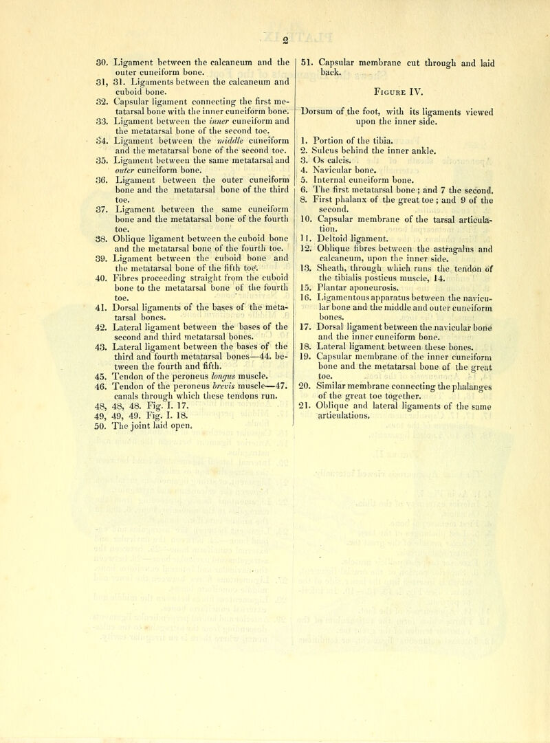 30. Ligament between the calcaneum and the outer cuneiform bone. 31. 31. Ligaments between the calcaneum and cuboid bone. 32. Capsular ligament connecting the first me- tatarsal bone with the inner cuneiform bone. 33. Ligament between the inner cuneiform and the metatarsal bone of the second toe. 34. Ligament between the middle cuneiform and the metatarsal bone of the second toe. 35. Ligament between the same metatarsal and outer cuneiform bone. 36. Ligament between the outer cuneiform bone and the metatarsal bone of the third toe. 37. Ligament between the same cuneiform bone and the metatarsal bone of the fourth toe. 38. Oblique ligament between the cuboid bone and the metatarsal bone of the fourth toe. 39. Ligament between the cuboid bone and the metatarsal bone of the fifth toe'. 40. Fibres proceeding straight from the cuboid bone to the metatarsal bone of the fourth toe. 41. Dorsal ligaments of the bases of the meta- tarsal bones. 42. Lateral ligament between the bases of the second and third metatarsal bones. 43. Lateral ligament between the bases of the third and fourth metatarsal bones—44. be- tween the fourth and fifth. 45. Tendon of the peroneus lonrjus muscle. 46. Tendon of the peroneus brevis muscle-—47. canals through which these tendons run. 48, 48, 48. Fig. I. 17. 49, 49, 49. Fig. I. 18. 50, The joint laid open. 51. Capsular membrane cut through and laid back. Figure IV. Dorsum of the foot, with its ligaments viewed upon the inner side. 1. Portion of the tibia. 2. Sulcus behind the inner ankle. 3. Os calcis. 4. Navicular bone. 5. Internal cuneiform bone. 6. The first metatarsal bone ; and 7 the second, 8. First phalanx of the great toe ; and 9 of the second. 10. Capsular membrane of the tarsal articula- tion, 11. Deltoid ligament. 12. Oblique fibres between the astragalus and calcaneum, upon the inner side. Sheath, through which runs the tendon of the tibialis posticus muscle, 14. Plantar aponeurosis. Ligamentous apparatus between the navicu- lar bone and the middle and outer cuneiform bones. Dorsal ligament between the navicular bone and the inner cuneiform bone. 18. Lateral ligament between these bones. 19. Capsular membrane of the inner cuneiform bone and the metatarsal bone of the great toe. 20. Similar membrane connecting the phalanges of the great toe together. 21. Oblique and lateral ligaments of the same articulations. 13, 15. 16. 17.