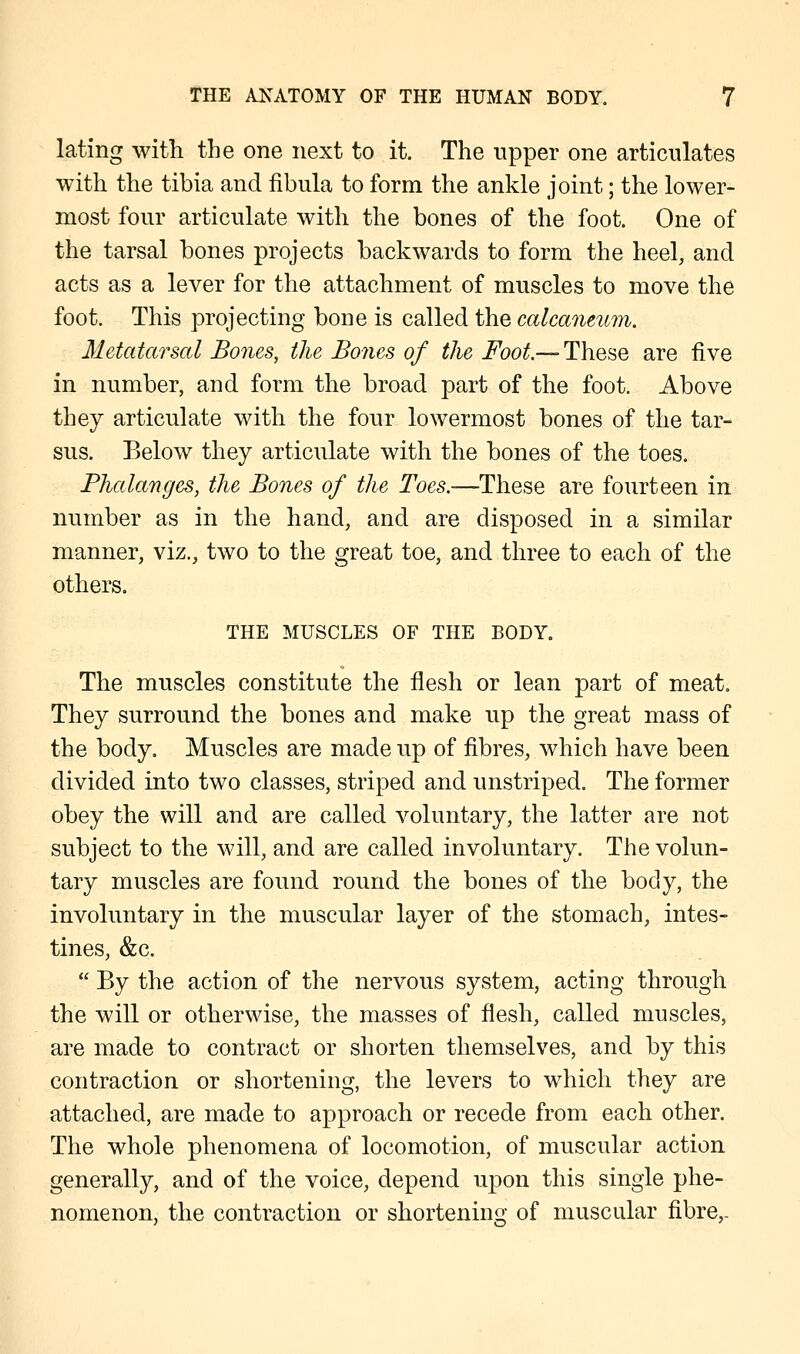 lating with the one next to it. The upper one articulates with the tibia and fibula to form the ankle joint; the lower- most four articulate with the bones of the foot. One of the tarsal bones projects backwards to form the heel, and acts as a lever for the attachment of muscles to move the foot. This projecting bone is called the calcaneum. Metatarsal Bones, the Bones of the Foot.— These are five in number, and form the broad part of the foot. Above they articulate with the four lowermost bones of the tar- sus. Below they articulate with the bones of the toes. Phalanges, the Bones of the Toes.—These are fourteen in number as in the hand, and are disposed in a similar manner, viz., two to the great toe, and three to each of the others. THE MUSCLES OF THE BODY. The muscles constitute the flesh or lean part of meat. They surround the bones and make up the great mass of the body. Muscles are made up of fibres, which have been divided into two classes, striped and unstriped. The former obey the will and are called voluntary, the latter are not subject to the will, and are called involuntary. The volun- tary muscles are found round the bones of the body, the involuntary in the muscular layer of the stomach, intes- tines, &c.  By the action of the nervous system, acting through the will or otherwise, the masses of flesh, called muscles, are made to contract or shorten themselves, and by this contraction or shortening, the levers to which they are attached, are made to approach or recede from each other. The whole phenomena of locomotion, of muscular action generally, and of the voice, depend upon this single phe- nomenon, the contraction or shortening of muscular fibre,-