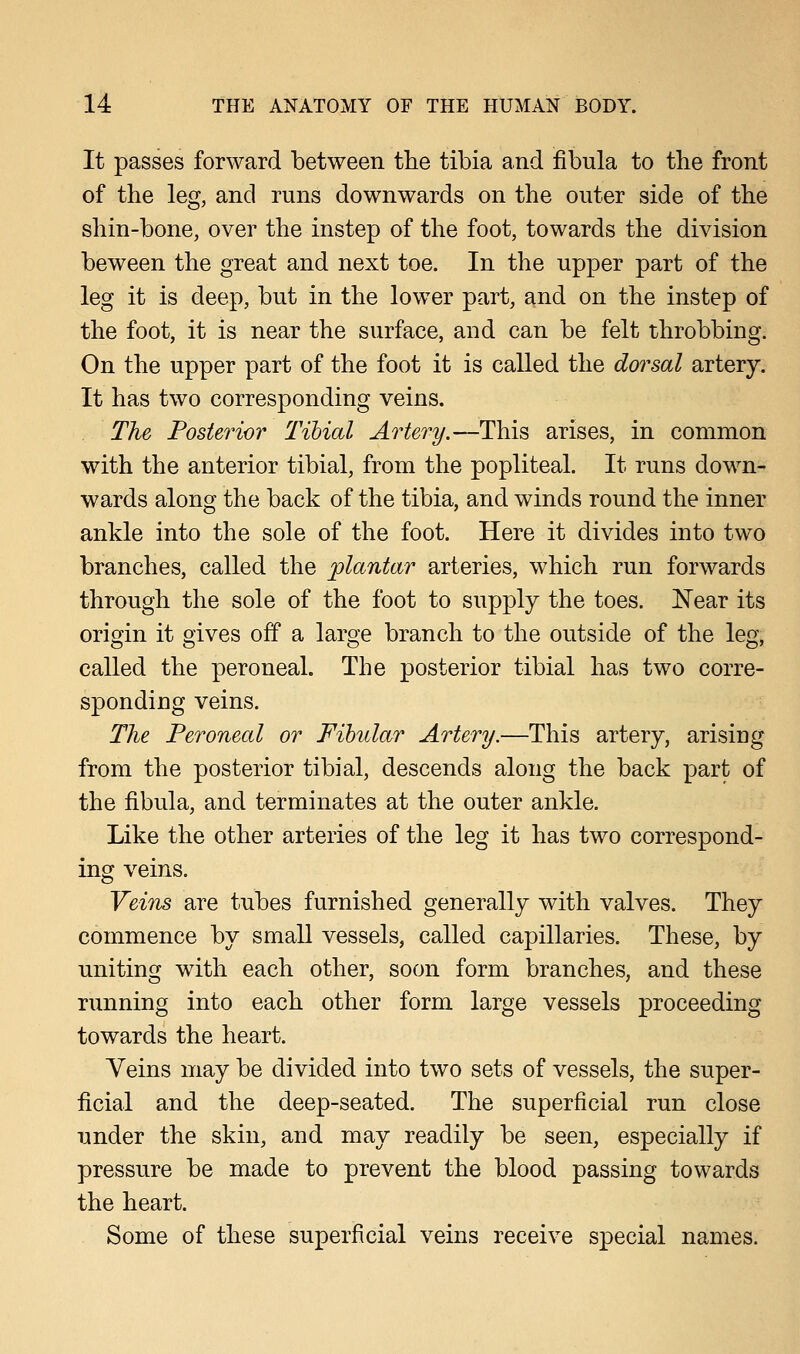 It passes forward between trie tibia and fibula to the front of the leg, and runs downwards on the outer side of the shin-bone, over the instep of the foot, towards the division beween the great and next toe. In the upper part of the leg it is deep, but in the lower part, and on the instep of the foot, it is near the surface, and can be felt throbbing. On the upper part of the foot it is called the dorsal artery. It has two corresponding veins. The Posterior Tibial Artery.—This arises, in common with the anterior tibial, from the popliteal. It runs down- wards along the back of the tibia, and winds round the inner ankle into the sole of the foot. Here it divides into two branches, called the plantar arteries, which run forwards through the sole of the foot to supply the toes. Near its origin it gives off a large branch to the outside of the leg, called the peroneal. The posterior tibial has two corre- sponding veins. The Peroneal or Fibular Artery.—This artery, arising from the posterior tibial, descends along the back part of the fibula, and terminates at the outer ankle. Like the other arteries of the leg it has two correspond- ing veins. Veins are tubes furnished generally with valves. They commence by small vessels, called capillaries. These, by uniting with each other, soon form branches, and these running into each other form large vessels proceeding towards the heart. Veins may be divided into two sets of vessels, the super- ficial and the deep-seated. The superficial run close under the skin, and may readily be seen, especially if pressure be made to prevent the blood passing towards the heart. Some of these superficial veins receive special names.