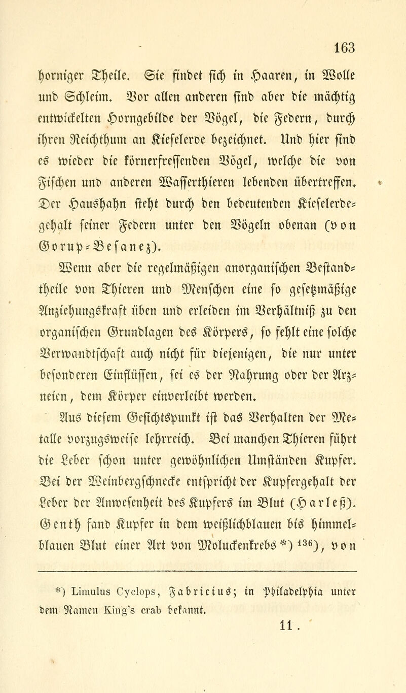 dorniger Steile, ©te ftnbct ftdj in paaren, in 2öol(e unb (Schleim, 23or allen anbeten ffnb aber bie mächtig entttn'cfelten £orngebübe ber $ögel, bte gebern, bttrejj üjren 9teia)tljmn an ^tefeleroe be^et^net Unb I)ier ftnb t$ ttneber bte förnerfreffenben 25öcjel, welche bte von gtfdjen unb anberen 2öaffertl)ieren lebenben übertreffen,. £)er $autyat)n ftefyt buref) ben Bebeutenben Jh'efelerbe* geaalt fetner gebern unter ben Vögeln obenan (von ©orup*25efane$)* 28emt aber bte regelmäßigen anorganifdjjen 33eftanb* tljetle von gieren unb Wienern eine fo gefe|mctfnge 5ln^iel)ung^lraft üben unb erleiben im §8erl)ättmj5 $u ben organtfeben ©runblagen be3 $brper$, fo fel)lt eine folcfje 23ertt)anbtfcf)aft auef) nü#t für biefenigen, bie nur unter befonberen QnnjTüffen, fei e£ ber 9?al)rung ober ber 2lr^ neien, beut Körper einverleibt werben* 2Iu3 biefem ©eftc^unft xffe bag galten ber m* tatle vor^ug^tveife letjrreid)* 33ei manchen gieren füfyrt bie £eber fcf)on unter gett>ö!jnticf)ett Umjtänben Tupfer. IBet ber SSetnbergfdmecfe entfpricf)t ber $upfergel)alt ber £eber ber 2Inn>efenl)eit be3 tupfet^ im 33lut (Jparlefö- ©entlj fanb Tupfer in bem tveißlicbblauen M$ Fimmel* blauen ^lut einer Hrt Von 9P?oIucfenlreb^ *) 136); von *) Limulus Cyclops, gabrtciug; in -p&ftafcefy$ta unter bem Tanten Ein'g's crab befnmtt. 11.