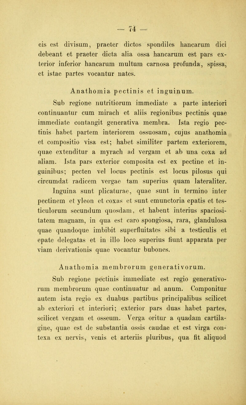 eis est divisum, praeter dictos spondiles hancarum dici debeant et praeter dicta alia ossa hancarum est pars ex- terior inferior hancarum multum carnosa profunda, spissa, et istae partes vocantur nates. Anathomia pectinis et inguinum. Sub regione nutritiorum immediate a parte interiori continuantur cum mirach et aliis regionibus pectinis quae immediate contangit generativa membra. Ista regio pec- tinis habet partem interiorem ossuosam, cujus anathomia et compositio visa est; habet similiter partem exteriorem, quae extenditur a myrach ad vergam et ab una coxa ad aliam. Ista pars exterior composita est ex pectine et in- guinibus; pecten vel locus pectinis est locus pilosus qui circumdat radicem vergae tarn superius quam lateraliter. Inguina sunt plicaturae, quae sunt in termino inter pectinem et yleon et coxas et sunt emunctoria epatis et tes- ticulorum secundum quosdam, et habent interius spaciosi- tatem magnam, in qua est caro spongiosa, rara, glandulosa quae quandoque imbibit superfluitates sibi a testiculis et epate delegatas et in illo loco superius Hunt apparata per viam derivationis quae vocantur bubones. Anathomia membrorum generativorum. Sub regione pectinis immediate est regio generativo- rum membrorum quae continuatur ad anum. Componitur autem ista regio ex duabus partibus principalibus scilicet ab exteriori et interiori; exterior pars duas habet partes, scilicet vergam et osseum. Verga oritur a quadam cartila- gine, quae est de substantia ossis caudae et est virga cou- texa ex nervis, venis et arteriis pluribus, qua fit aliquod