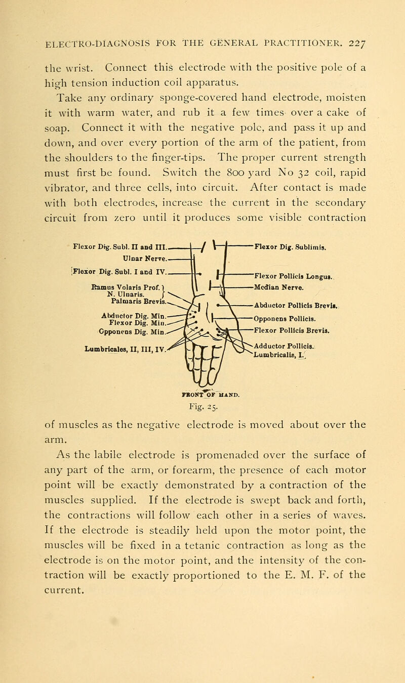 the wrist. Connect this electrode with the positive pole of a high tension induction coil apparatus. Take any ordinary sponge-covered hand electrode, moisten it with warm water, and rub it a few times over a cake of soap. Connect it wdth the negative pole, and pass it up and down, and over every portion of the arm of the patient, from the shoulders to the finger-tips. The proper current strength must first be found. Switch the 800 yard No 32 coil, rapid vibrator, and three cells, into circuit. After contact is made with both electrodes, increase the current in the secondary circuit from zero until it produces some visible contraction Flexor Dig. Subl. 11 and III. Ulnar Nerve. [Flexor Dig. Subl. I and IV. Ramus Volaris Prof. \ N. Ulnaris. | Palmaris Brevis. Abdnefor Dig. Min. Flexor Dig. Min. Cpponens Dig. Min. Lumbricales, II, III, IV. Flexor Dig. Sublimis. Flexor Pollieis Longui., 'Median Nerve. Abductor Pollieis Brevii., Opponens Pollieis. Flexor Pollieis Brevis. Adductor Pollieis.; Lumbricalie, I/, FBONTjOF HAND. Fig. 25. of muscles as the negative electrode is moved about over the arm. As the labile electrode is promenaded over the surface of any part of the arm, or forearm, the presence of each motor point will be exactly demonstrated by a contraction of the muscles supplied. If the electrode is swept back and forth, the contractions will follow each other in a series of waves. If the electrode is steadily held upon the motor point, the muscles will be fixed in a tetanic contraction as long as the electrode is on the motor point, and the intensity of the con- traction will be exactly proportioned to the E. M. F. of the current.