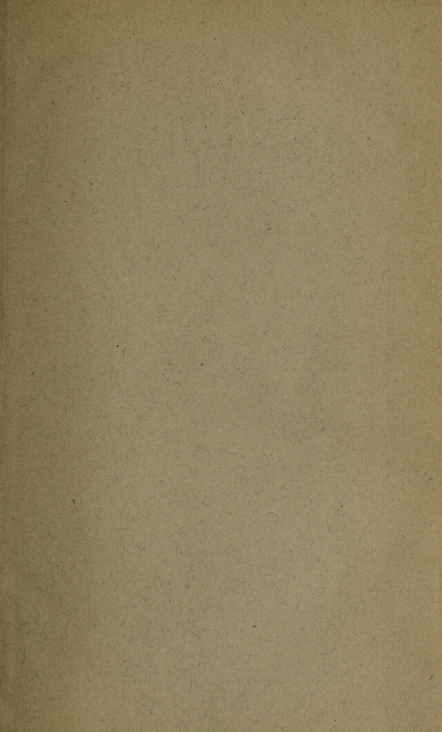 digitised image 3