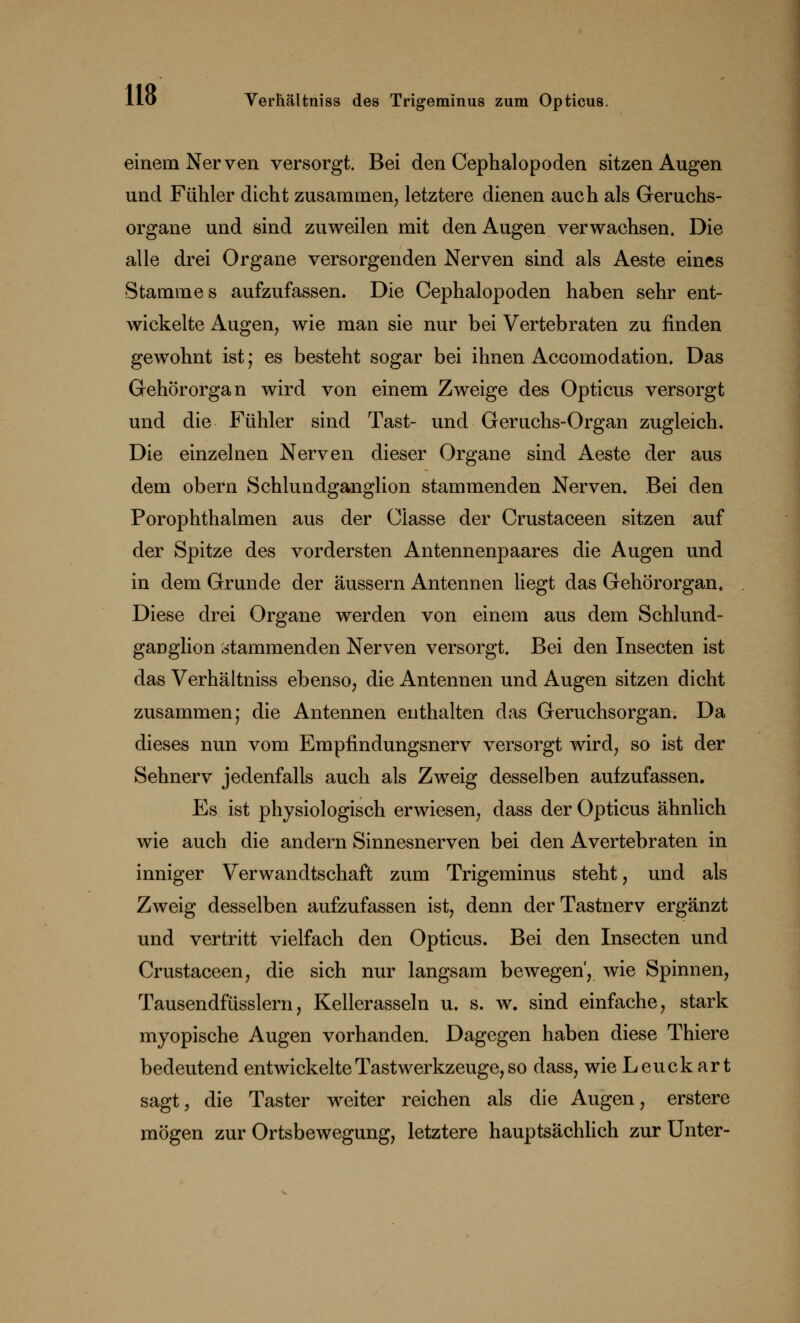 einem Nerven versorgt. Bei den Cephalopoden sitzen Augen und Fühler dicht zusammen, letztere dienen auch als Geruchs- organe und sind zuweilen mit den Augen verwachsen. Die alle drei Organe versorgenden Nerven sind als Aeste eines Stammes aufzufassen. Die Cephalopoden haben sehr ent- wickelte Augen, wie man sie nur bei Vertebraten zu finden gewohnt ist; es besteht sogar bei ihnen Accomodation. Das Gehörorgan wird von einem Zweige des Opticus versorgt und die Fühler sind Tast- und Geruchs-Organ zugleich. Die einzelnen Nerven dieser Organe sind Aeste der aus dem obern Schlundganglion stammenden Nerven. Bei den Porophthalmen aus der Olasse der Crustaceen sitzen auf der Spitze des vordersten Antennenpaares die Augen und in dem Grunde der äussern Antennen liegt das Gehörorgan. Diese drei Organe werden von einem aus dem Schlund- ganglion stammenden Nerven versorgt. Bei den Insecten ist das Verhältniss ebenso, die Antennen und Augen sitzen dicht zusammen; die Antennen enthalten das Geruchsorgan. Da dieses nun vom Empfindungsnerv versorgt wird, so ist der Sehnerv jedenfalls auch als Zweig desselben aufzufassen. Es ist physiologisch erwiesen, dass der Opticus ähnlich wie auch die andern Sinnesnerven bei den Avertebraten in inniger Verwandtschaft zum Trigeminus steht, und als Zweig desselben aufzufassen ist, denn der Tastnerv ergänzt und vertritt vielfach den Opticus. Bei den Insecten und Crustaceen, die sich nur langsam bewegen', wie Spinnen, Tausendfüsslern, Kellerasseln u. s. w. sind einfache, stark myopische Augen vorhanden. Dagegen haben diese Thiere bedeutend entwickelte Tastwerkzeuge, so dass, wie Leuckart sagt, die Taster weiter reichen als die Augen, erstere mögen zur Ortsbewegung, letztere hauptsächlich zur Unter-