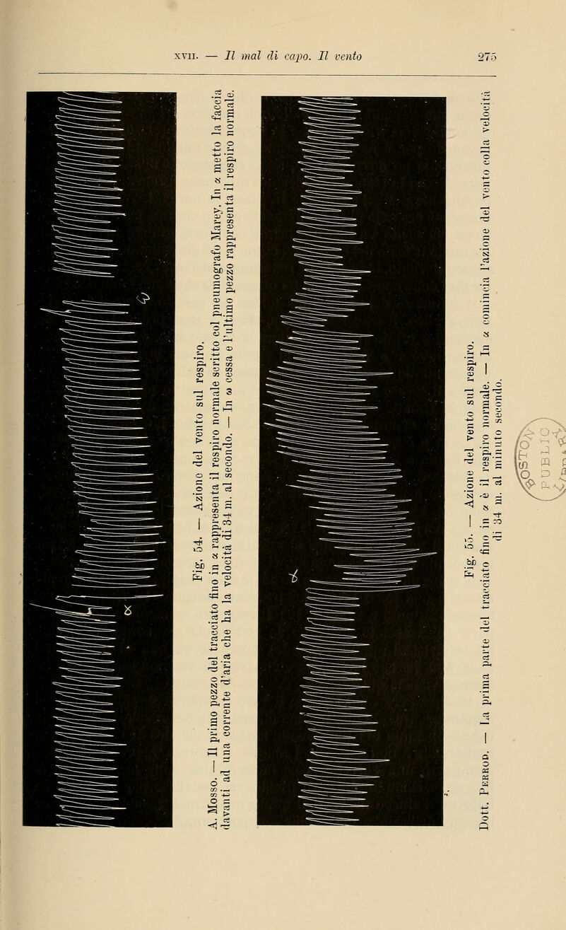 0 CS <2 £ c3 — © N — CD 5 a CO O ■ -1 c3 SO CO s 3 3 «2 S C > .-,2 —. o o n e _; -r» 33 g 05 -J4 1 — CO -^ IO fcc £3 O l=( 2 > « C3 .SrQ o ^ .§ I Pi cg O B ss o a 3 © -CU « ^ a o Cd E!