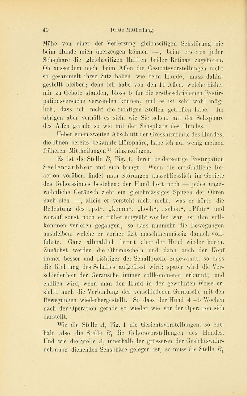 Mühe von einer der Verletzung gleichseitigen Sehstörung nie beim Hunde mich überzeugen können —, beim ersteren jeder Sehsphcäre die gleichseitigen Hälften beider Retinae zugehören. Ob ausserdem noch beim Affen die Gesichtsvorstellungen nicht so gesammelt ihren Sitz haben wie beim Hunde, muss dahin- gestellt bleiben; denn ich habe von den 11 Affen, welche bisher mir zu Gebote standen, bloss 5 für die erstbeschriebenen Exstir- pationsversuche verwenden können, und es ist sehr wohl mög- lich, dass ich nicht die richtigen Stellen getroffen habe. Im übrigen aber verhält es sich, wie Sie sehen, mit der Sehsphäre des Affen gerade so wie mit der Sehsphäre des Hundes. Ueber einen zweiten Abschnitt der Grosshirnrinde des Hundes, die Ihnen bereits bekannte Hörsphäre, habe icli nur wenig meinen früheren Mittheilungen ^^ hinzuzufügen. Es ist die Stelle B^ Fig. 1, deren beiderseitige Exstirpation Seelentaubheit mit sich bringt. Wenn die entzündliche Re- action vorüber, findet man Störungen ausschliesslich im Gebiete des Gehörssinnes bestehen: der Hund hört noch — jedes unge- wöhnliche Geräusch zieht ein gleichmässiges Spitzen der Ohren nach sich —, allein er versteht nicht mehr, was er hört; die Bedeutung des „pst, „komm, „hoch, „schön, „Pfote und worauf sonst noch er früher eingeübt worden war, ist ihm voll- kommen verloren gegangen, so dass nunmehr die Bewegungen ausbleiben, welche er vorher fast maschinenmässig danach voll- führte. Ganz allmählich lernt aber der Hund wieder hören. Zunächst werden die Ohrmuscheln und dann auch der Kopf immer besser und richtiger der Schallquelle zugewandt, so dass die Richtung des Schalles aufgefasst wird; später wird die Ver- schiedenheit der Geräusche immer vollkommener erkannt; und endlich wird, wenn man den Hund in der gewohnten Weise er- zieht, auch die Verbindung der verschiedenen Geräusche mit den Bewegungen wiederhergestellt. So dass der Hund 4 —5 Wochen nach der Operation gerade so wieder wie vor der Operation sich darstellt. Wie die Stelle Ä^ Fig. 1 die Gesichtsvorstellungen, so ent- hält also die Stelle B^ die Gehörsvorstellungen des Hundes. Und wie die Stelle A^ innerhalb der grösseren der Gesichts Wahr- nehmung dienenden Sehsphäre gelegen ist, so muss die Stelle B^