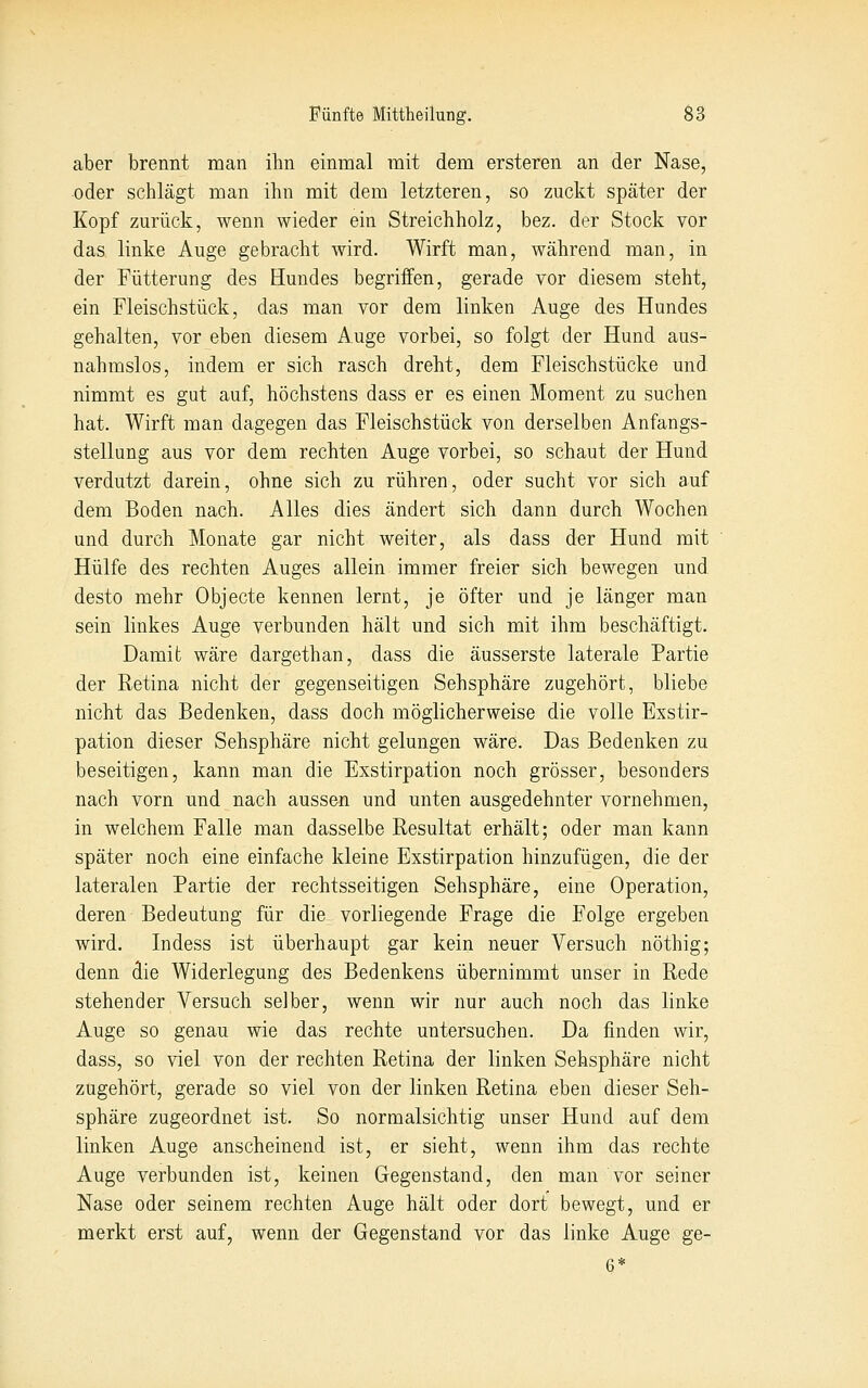 aber brennt man ihn einmal mit dem ersteren an der Nase, oder schlägt man ihn mit dem letzteren, so zuckt später der Kopf zurück, wenn wieder ein Streichholz, bez. der Stock vor das linke Auge gebracht wird. Wirft man, während man, in der Fütterung des Hundes begriffen, gerade vor diesem steht, ein Fleischstück, das man vor dem linken Auge des Hundes gehalten, vor eben diesem Auge vorbei, so folgt der Hund aus- nahmslos, indem er sich rasch dreht, dem Fleischstücke und nimmt es gut auf, höchstens dass er es einen Moment zu suchen hat. Wirft man dagegen das Fleischstück von derselben Anfangs- stellung aus vor dem rechten Auge vorbei, so schaut der Hund verdutzt darein, ohne sich zu rühren, oder sucht vor sich auf dem Boden nach. Alles dies ändert sich dann durch Wochen und durch Monate gar nicht weiter, als dass der Hund mit Hülfe des rechten Auges allein immer freier sich bewegen und desto mehr Objecte kennen lernt, je öfter und je länger man sein linkes Auge verbunden hält und sich mit ihm beschäftigt. Damit wäre dargethan, dass die äusserste laterale Partie der Retina nicht der gegenseitigen Sehsphäre zugehört, bliebe nicht das Bedenken, dass doch möglicherweise die volle Exstir- pation dieser Sehsphäre nicht gelungen wäre. Das Bedenken zu beseitigen, kann man die Exstirpation noch grösser, besonders nach vorn und nach aussen und unten ausgedehnter vornehmen, in welchem Falle man dasselbe Resultat erhält; oder man kann später noch eine einfache kleine Exstirpation hinzufügen, die der lateralen Partie der rechtsseitigen Sehsphäre, eine Operation, deren Bedeutung für die vorliegende Frage die Folge ergeben wird. Indess ist überhaupt gar kein neuer Versuch nöthig; denn die Widerlegung des Bedenkens übernimmt unser in Rede stehender Versuch selber, wenn wir nur auch noch das linke Auge so genau wie das rechte untersuchen. Da finden wir, dass, so viel von der rechten Retina der linken Sehsphäre nicht zugehört, gerade so viel von der linken Retina eben dieser Seh- sphäre zugeordnet ist. So normalsichtig unser Hund auf dem linken Auge anscheinend ist, er sieht, wenn ihm das rechte Auge verbunden ist, keinen Gegenstand, den man vor seiner Nase oder seinem rechten Auge hält oder dort bewegt, und er merkt erst auf, wenn der Gegenstand vor das linke Auge ge- 6*