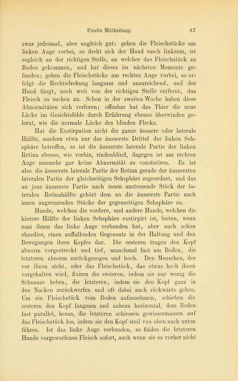 zwar jedesmal, aber ungieicli gut: gehen die Fleischstücke am linken Auge vorbei, so dreht sich der Hund rasch linksum, ist sogleich an der richtigen Stelle, an welcher das Fleischstück zu Boden gekommen, und hat dieses im nächsten Momente ge- funden; gehen die Fleischstücke am rechten Auge vorbei, so er- folgt die Rechtsdrehung langsam und unzureichend, und der Hund fängt, noch weit von der richtigen Stelle entfernt, das Fleisch zu suchen an. Schon in der zweiten Woche haben diese Abnormitäten sich verloren; offenbar hat das Thier die neue Lücke im Gesichtsfelde durch Erfahrung ebenso überwinden ge- lernt, wie die normale Lücke des blinden Flecks. Hat die Exstirpation nicht die ganze äussere oder laterale Hälfte, sondern etwa nur das äusserste Drittel der linken Seh- sphäre betroffen, so ist die äusserste laterale Partie der linken Retina ebenso, wie vorhin, rindenblind, dagegen ist am rechten Auge nunmehr gar keine Abnormität zu constatiren. Es ist also die äusserste laterale Partie der Retina gerade der äussersten lateralen Partie der gleichseitigen Sehsphäre zugeordnet, und das an jene äusserste Partie nach innen anstossende Stück der la- teralen Retinahälfte gehört dem an die äusserste Partie nach innen angrenzenden Stücke der gegenseitigen Sehsphäre zu. Hunde, welchen die vordere, und andere Hunde, welchen die hintere Hälfte der linken Seh Sphäre exstirpirt ist, bieten, wenn man ihnen das linke Auge verbunden hat, aber auch schon ohnedies, einen auffallenden Gegensatz in der Haltung und den Bewegungen ihres Kopfes dar. Die ersteren tragen den Kopf abnorm vorgestreckt und tief, manchmal fast am Boden, die Jetzteren abnorm zurückgezogen und hoch. Den Menschen, der vor ihnen steht, oder das Fleischstück, das etwas hoch ihnen vorgehalten wird, fixiren die ersteren, indem sie nur wenig die Schnauze heben, die letzteren, indem sie den Kopf ganz in den Nacken zurückwerfen und oft dabei auch rückwärts gehen. Um ein Fleischstück vom Boden aufzunehmen, schieben die ersteren den Kopf langsam und nahezu horizontal, dem Boden fast parallel, heran, die letzteren schiessen gewissermassen auf das Fleischstück los, indem sie den Kopf steil von oben nach unten führen. Ist das linke Auge verbunden, so finden die letzteren Hunde vorgeworfenes Fleisch sofort, auch wenn sie es vorher nicht