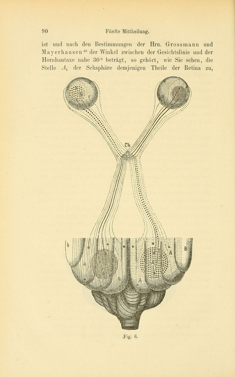 ist und nacli den Bestimmungen der Hrn. Gross mann und Mayerhausen^^ der Winkel zwischen der Gesichtslinie und der Hornhautaxe nahe 30'' beträgt, so gehört, wie Sie sehen, die Stelle ^4j der Sehsphäre demjenigen Theile der Retina zu, .Fig. 6.
