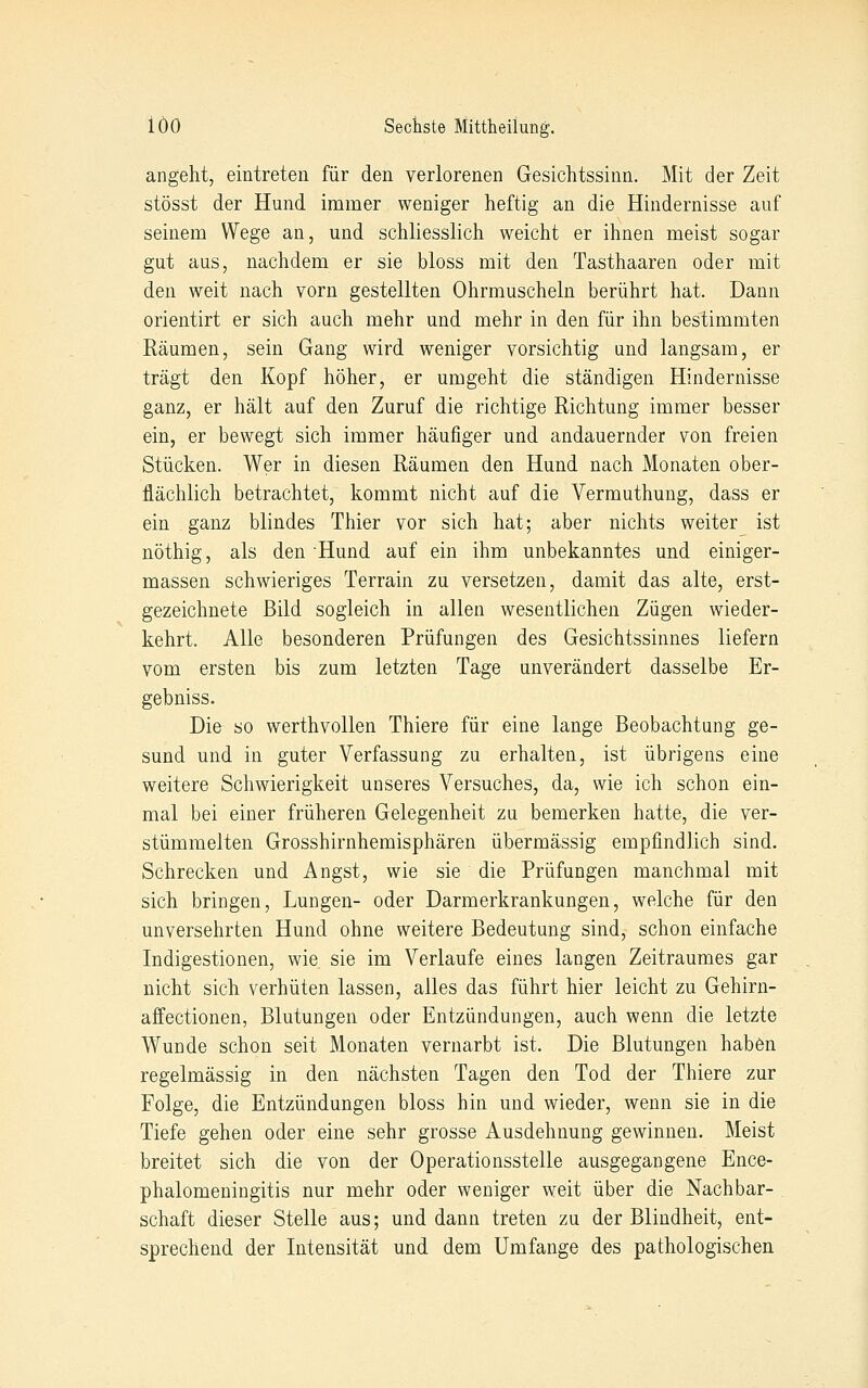 angeht, eintreten für den verlorenen Gesichtssinn. Mit der Zeit stösst der Hund immer weniger heftig an die Hindernisse auf seinem Wege an, und schliesslich weicht er ihnen meist sogar gut aus, nachdem er sie bloss mit den Tasthaaren oder mit den weit nach vorn gestellten Ohrmuscheln berührt hat. Dann orientirt er sich auch mehr und mehr in den für ihn bestimmten Räumen, sein Gang wird weniger vorsichtig und langsam, er trägt den Kopf höher, er umgeht die ständigen Hindernisse ganz, er hält auf den Zuruf die richtige Richtung immer besser ein, er bewegt sich immer häufiger und andauernder von freien Stücken. Wer in diesen Räumen den Hund nach Monaten ober- flächlich betrachtet, kommt nicht auf die Vermuthung, dass er ein ganz blindes Thier vor sich hat; aber nichts weiter ist nöthig, als den Hund auf ein ihm unbekanntes und einiger- massen schwieriges Terrain zu versetzen, damit das alte, erst- gezeichnete Bild sogleich in allen wesentlichen Zügen wieder- kehrt. Alle besonderen Prüfungen des Gesichtssinnes liefern vom ersten bis zum letzten Tage unverändert dasselbe Er- gebniss. Die so werthvollen Thiere für eine lange Beobachtung ge- sund und in guter Verfassung zu erhalten, ist übrigens eine weitere Schwierigkeit unseres Versuches, da, wie ich schon ein- mal bei einer früheren Gelegenheit zu bemerken hatte, die ver- stümmelten Grosshirnhemisphären übermässig empfindlich sind. Schrecken und Angst, wie sie die Prüfungen manchmal mit sich bringen, Lungen- oder Darmerkrankungen, welche für den unversehrten Hund ohne weitere Bedeutung sind, schon einfache Indigestionen, wie sie im Verlaufe eines langen Zeitraumes gar nicht sich verhüten lassen, alles das führt hier leicht zu Gehirn- affectionen, Blutungen oder Entzündungen, auch wenn die letzte Wunde schon seit Monaten vernarbt ist. Die Blutungen haben regelmässig in den nächsten Tagen den Tod der Thiere zur Folge, die Entzündungen bloss hin und wieder, wenn sie in die Tiefe gehen oder eine sehr grosse Ausdehnung gewinnen. Meist breitet sich die von der Operationsstelle ausgegangene Ence- phalomeningitis nur mehr oder weniger weit über die Nachbar- schaft dieser Stelle aus; und dann treten zu der Blindheit, ent- sprechend der Intensität und dem Umfange des pathologischen