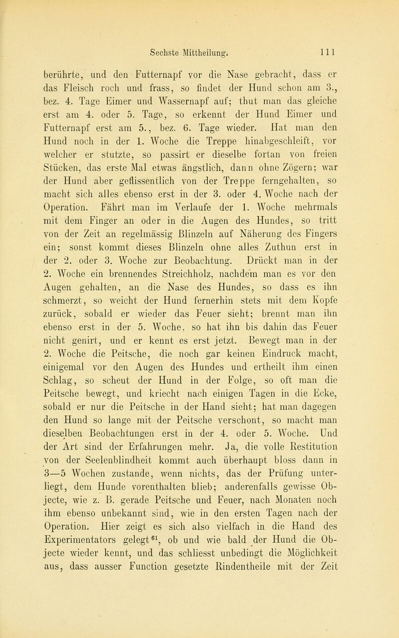 berührte, und den Futternapf vor die Nase gebracht, dass er das Fleisch roch und frass, so findet der Hund schon am 3., bez. 4. Tage Eimer und Wassernapf auf; thut man das gleiche erst am 4. oder 5. Tage, so erkennt der Hund Eimer und Futternapf erst am 5., bez. 6. Tage wieder. Hat man den Hund noch in der 1. Woche die Treppe hinabgeschleift, vor welcher er stutzte, so passirt er dieselbe fortan von freien Stücken, das erste Mal etwas ängstlich, dann ohne Zögern; war der Hund aber geflissentlich von der Treppe ferngehalten, so macht sich alles ebenso erst in der 3. oder 4. Woche nach der Operation. Fährt man im Verlaufe der 1. Woche mehrmals mit dem Finger an oder in die Augen des Hundes, so tritt von der Zeit an regelmässig Blinzeln auf Näherung des Fingers ein; sonst kommt dieses Blinzeln ohne alles Zuthun erst in der 2. oder 3. Woche zur Beobachtung. Drückt man in der 2. Woche ein brennendes Streichholz, nachdem man es vor den Augen gehalten, an die Nase des Hundes, so dass es ihn schmerzt, so weicht der Hund fernerhin stets mit dem Kopfe zurück, sobald er wieder das Feuer sieht; brennt man ihn ebenso erst in der 5. Woche, so hat ihn bis dahin das Feuer nicht genirt, und er kennt es erst jetzt. Bewegt man in der 2. Woche die Peitsche, die noch gar keinen Eindruck macht, einigemal vor den Augen des Hundes und ertheilt ihm einen Schlag, so scheut der Hund in der Folge, so oft man die Peitsche bewegt, und kriecht nach einigen Tagen in die Ecke, sobald er nur die Peitsche in der Hand sieht; hat man dagegen den Hund so lange mit der Peitsche verschont, so macht man dieselben Beobachtungen erst in der 4. oder 5. Woche. Und der Art sind der Erfahrungen mehr. Ja, die volle Restitution von der Seelenblindheit kommt auch überhaupt bloss dann in 3—5 Wochen zustande, wenn nichts, das der Prüfung unter- liegt, dem Hunde vorenthalten blieb; anderenfalls gewisse Ob- jecto, wie z. B. gerade Peitsche und Feuer, nach Monaten noch ihm ebenso unbekannt sind, wie in den ersten Tagen nach der Operation. Hier zeigt es sich also vielfach in die Hand des Experimentators gelegt ^^, ob und wie bald der Hund die Ob- jecto wieder kennt, und das schliesst unbedingt die Möglichkeit aus, dass ausser Function gesetzte Rindentheiie mit der Zeit