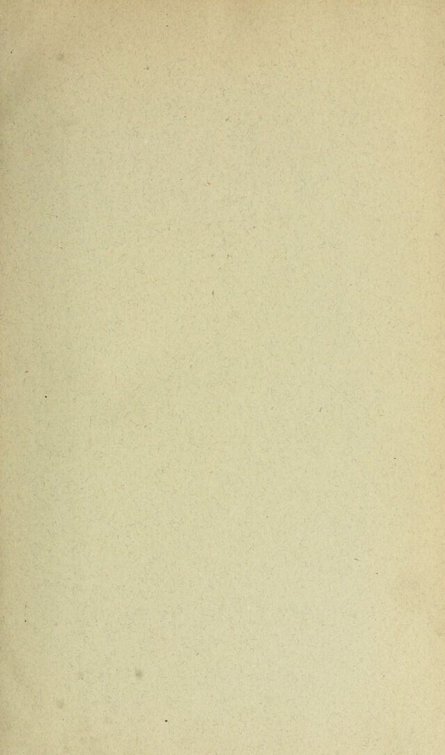 digitised image 3