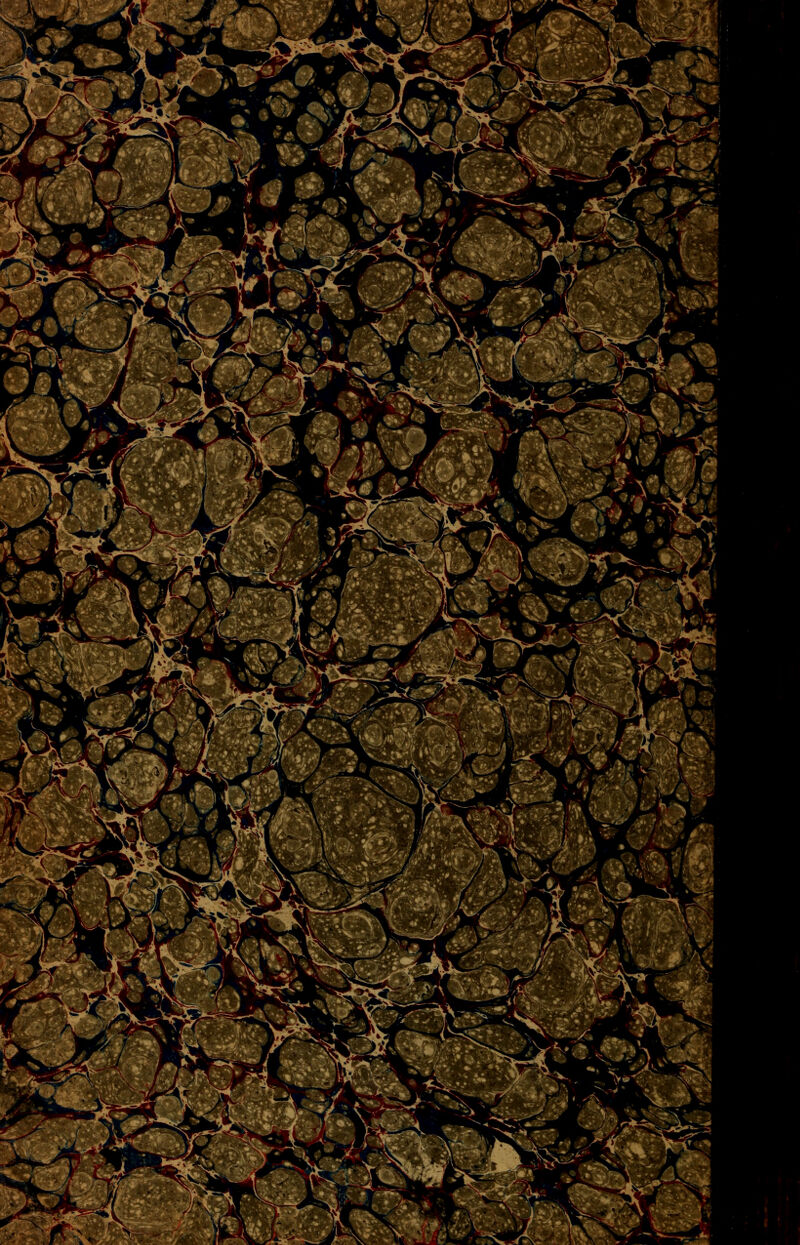 ,^' y r^- \L ^5e5^i * :■*:> Kf \ i':^:. %'m.m